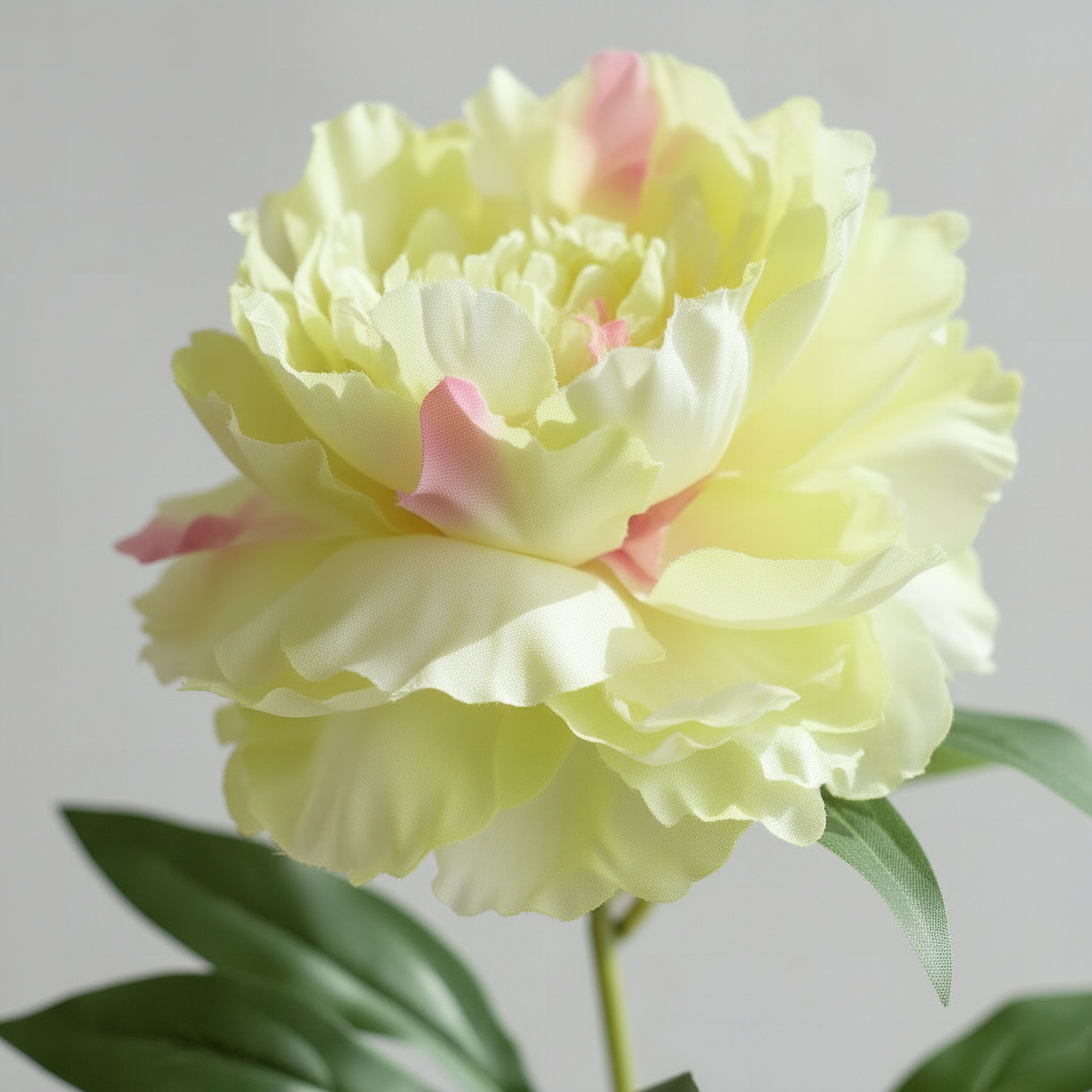 Floret Single Peony Flower Stick - 66 cm-hbxdecorandfurnishings-homeaccessories-artificialflowersandplants-image-3