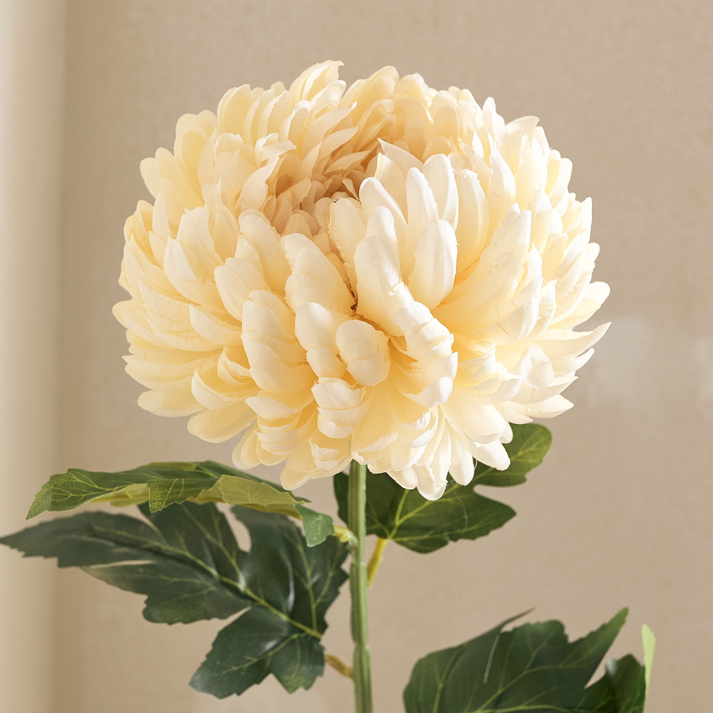 Floret Single Mum Flower Stick - 75 cm-hbxdecorandfurnishings-homeaccessories-artificialflowersandplants-image-6