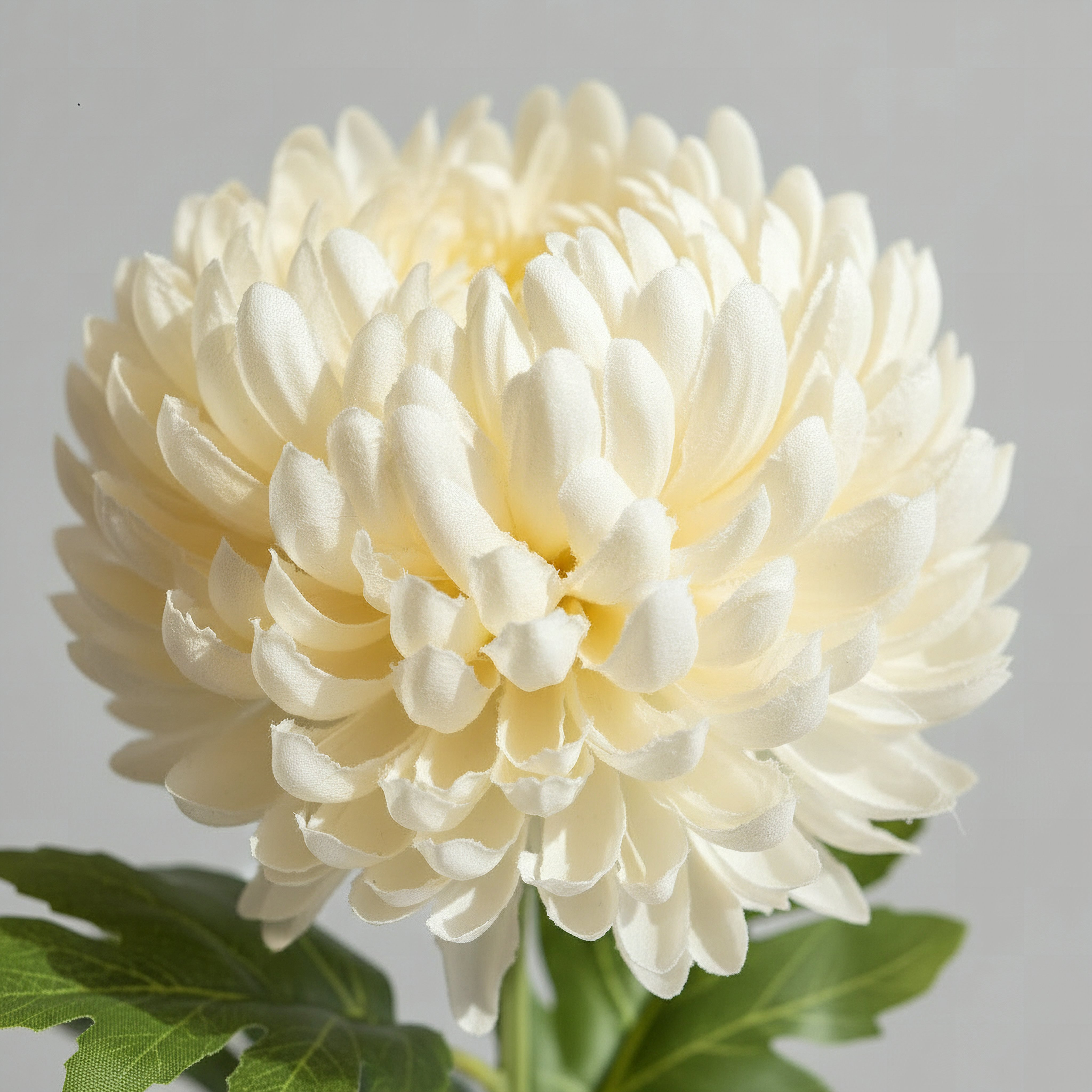 Floret Single Mum Flower Stick - 75 cm-hbxdecorandfurnishings-homeaccessories-artificialflowersandplants-image-2