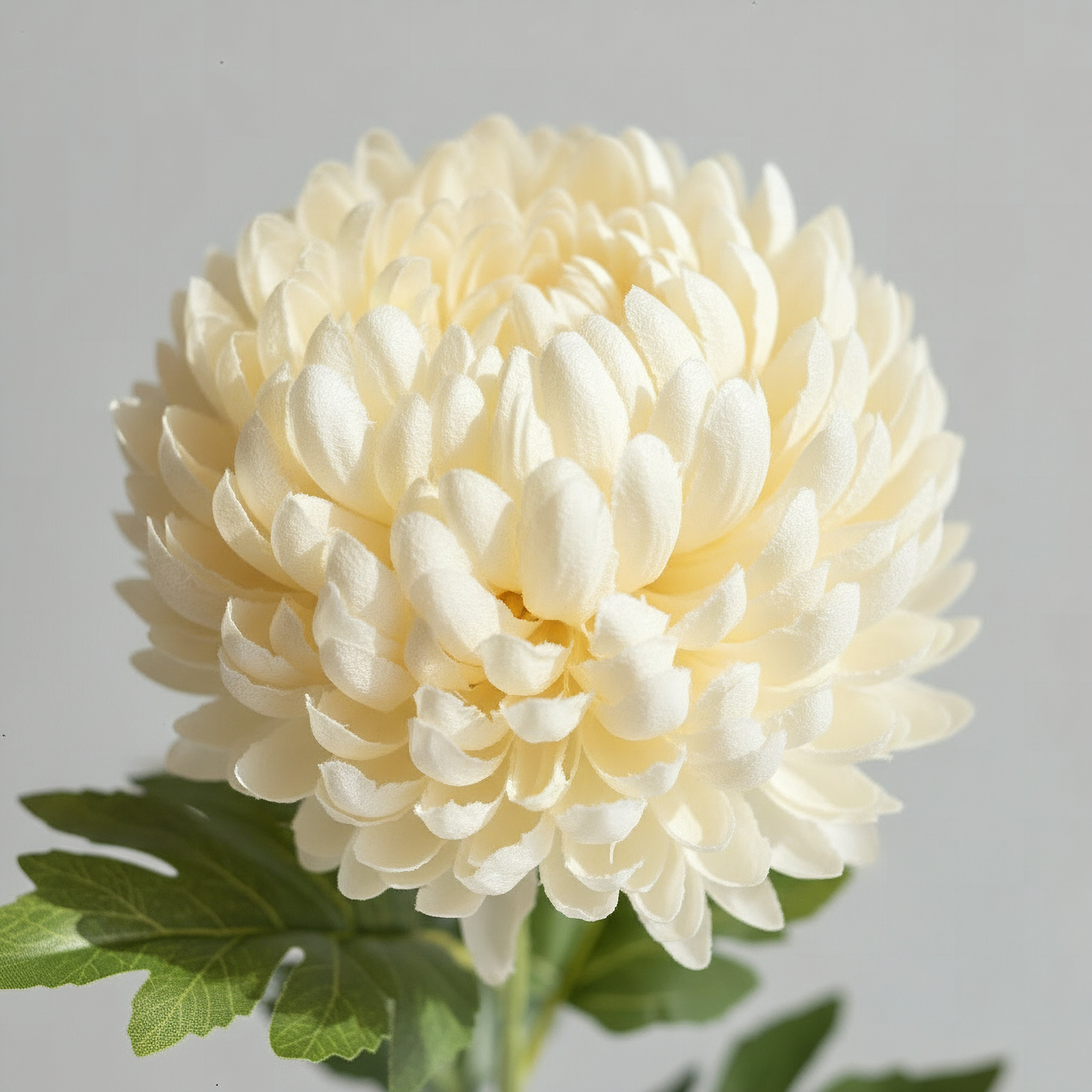 Floret Single Mum Flower Stick - 75 cm-hbxdecorandfurnishings-homeaccessories-artificialflowersandplants-image-3