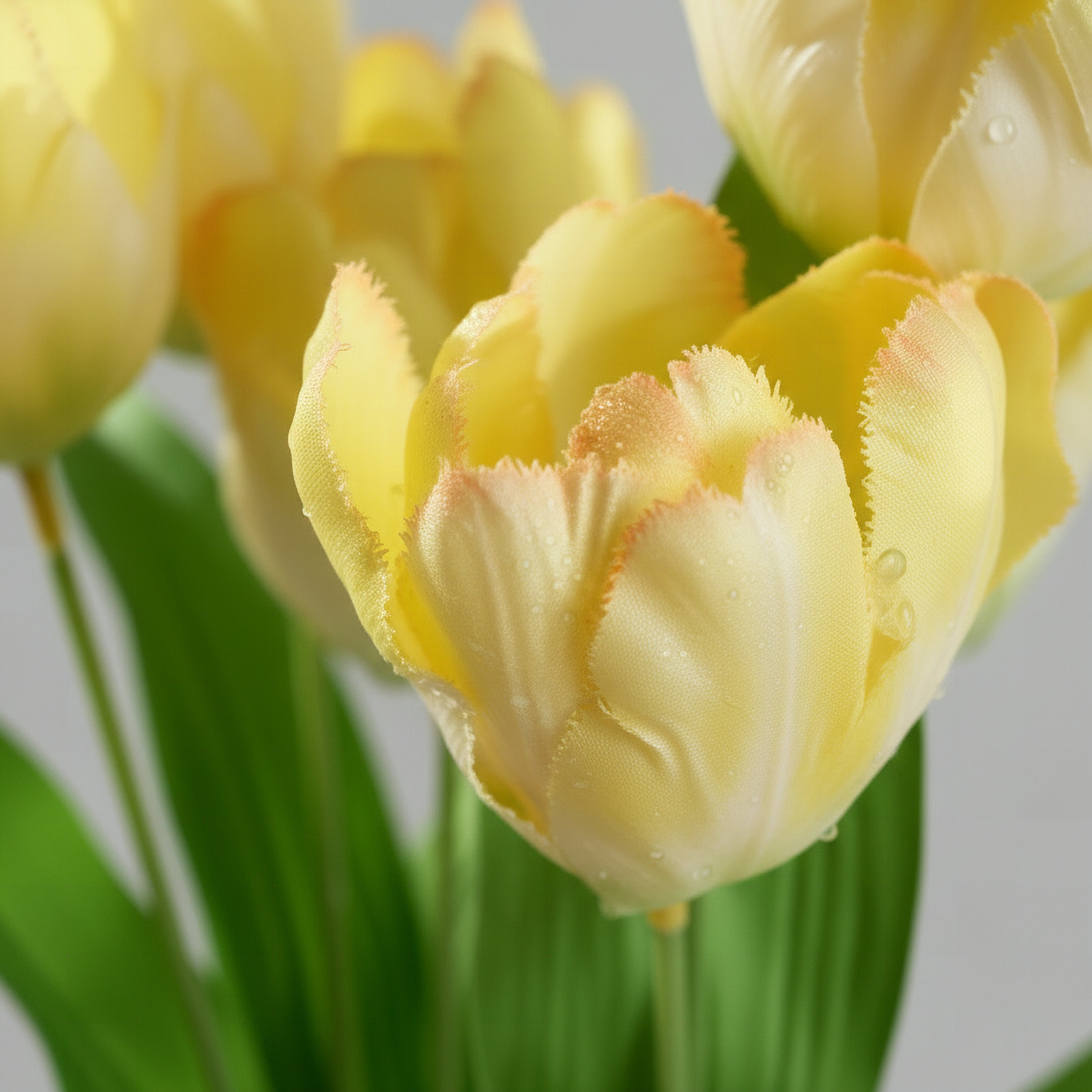 Floret Tulip Flower Bunch - 60 cm-hbxdecorandfurnishings-homeaccessories-artificialflowersandplants-image-2