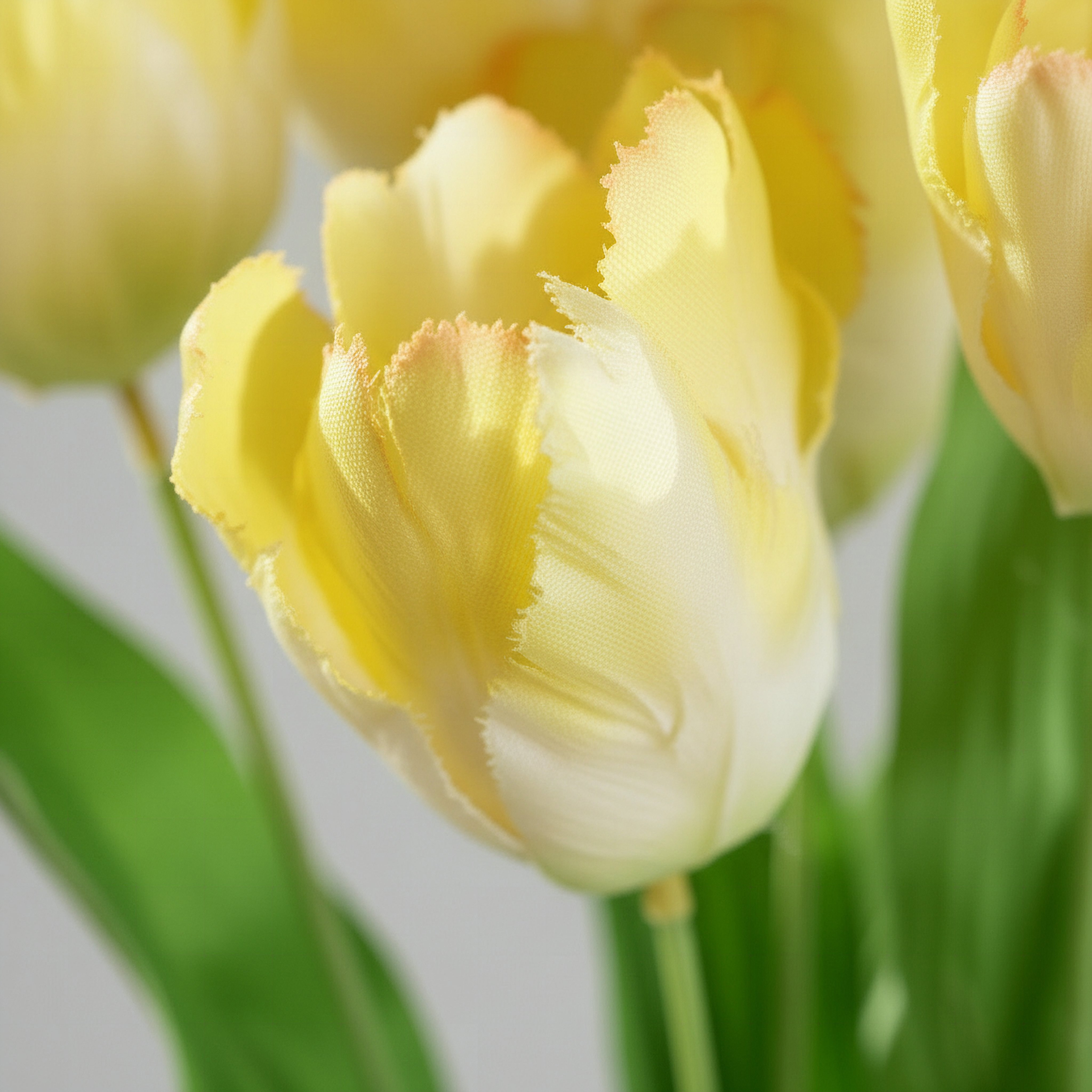 Floret Tulip Flower Bunch - 60 cm-hbxdecorandfurnishings-homeaccessories-artificialflowersandplants-image-3