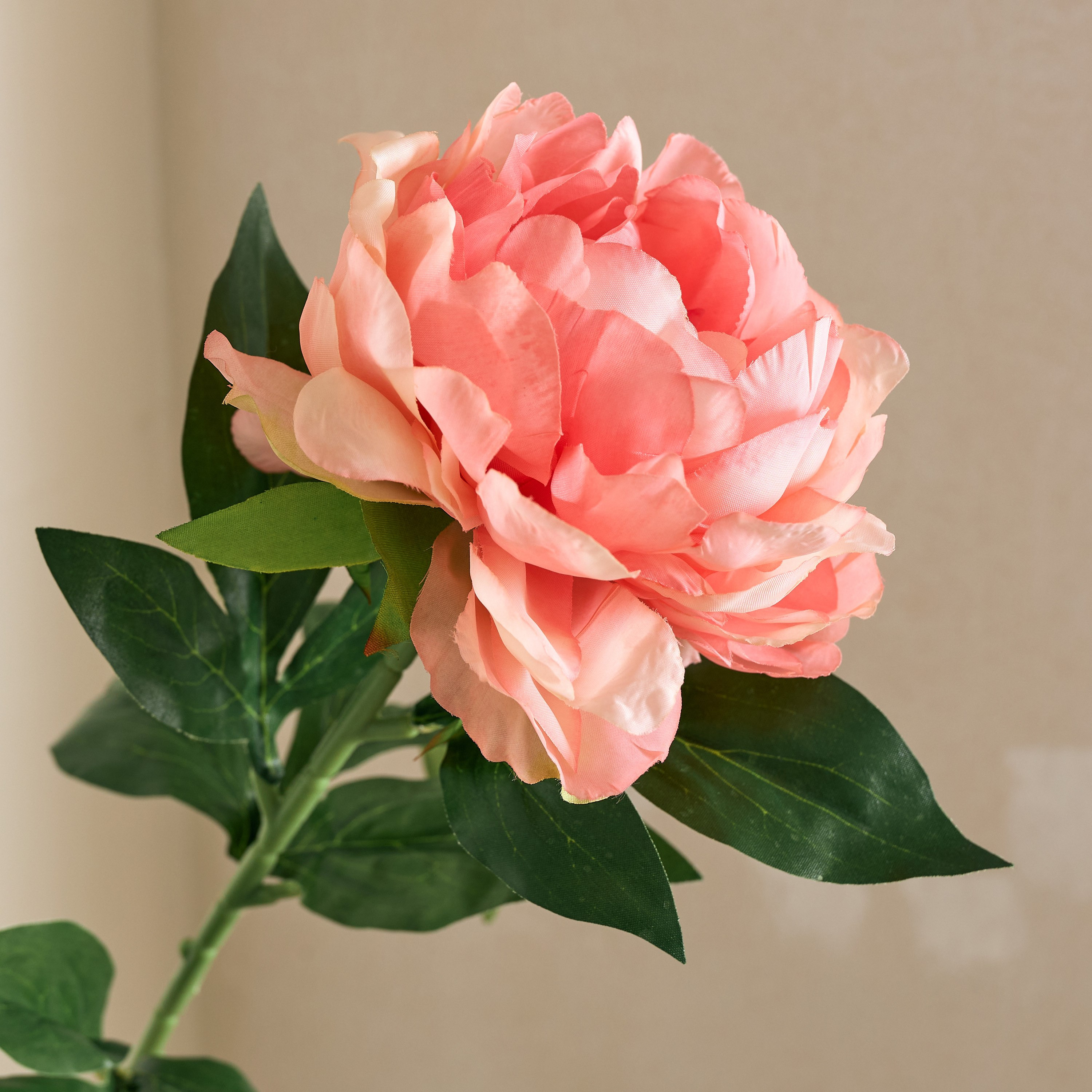 Floret Single Peony Flower Stick - 80 cm-hbxdecorandfurnishings-homeaccessories-artificialflowersandplants-image-6