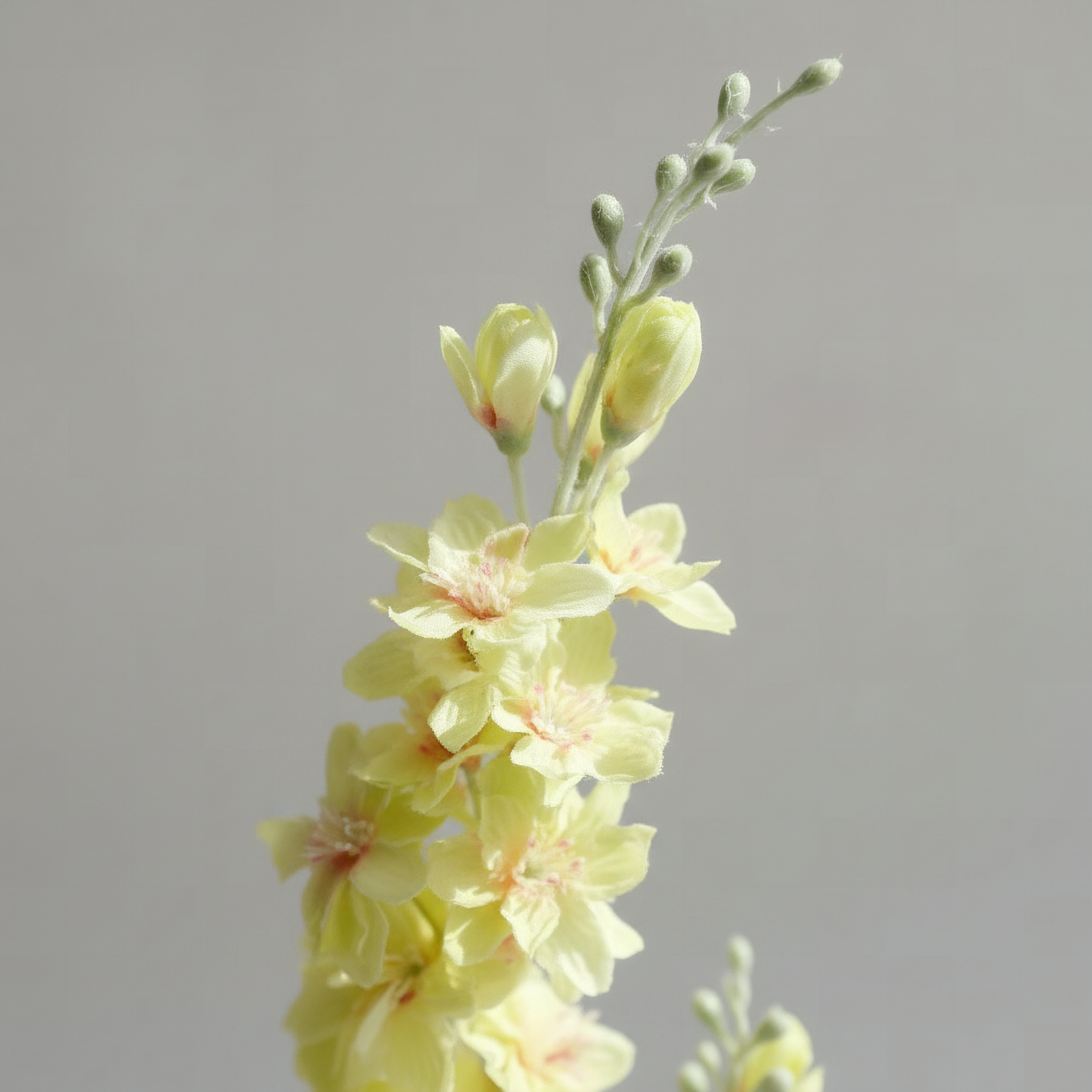 Floret Delphinium Flower Stem - 82 cm-hbxdecorandfurnishings-homeaccessories-artificialflowersandplants-image-2