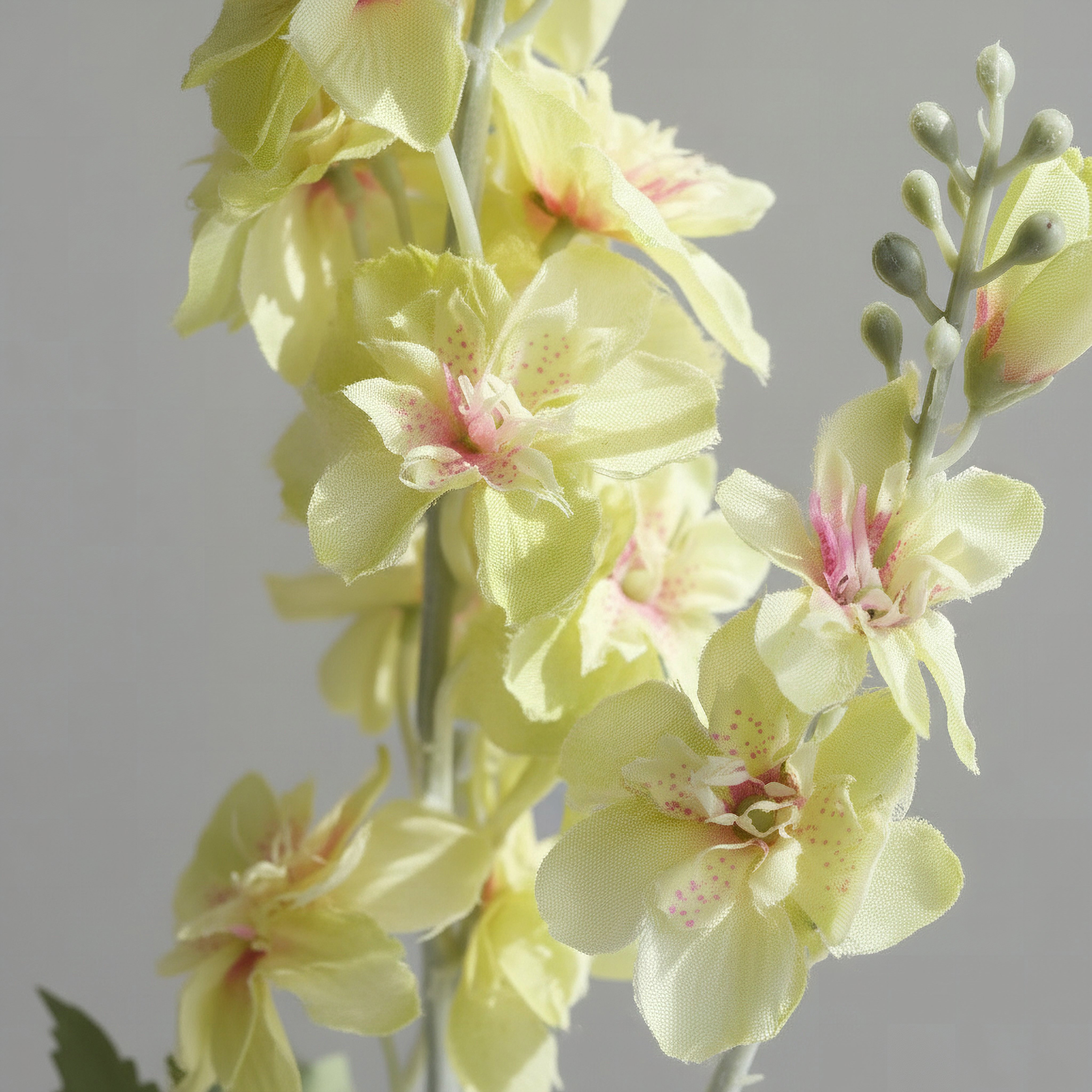Floret Delphinium Flower Stem - 82 cm-hbxdecorandfurnishings-homeaccessories-artificialflowersandplants-image-3