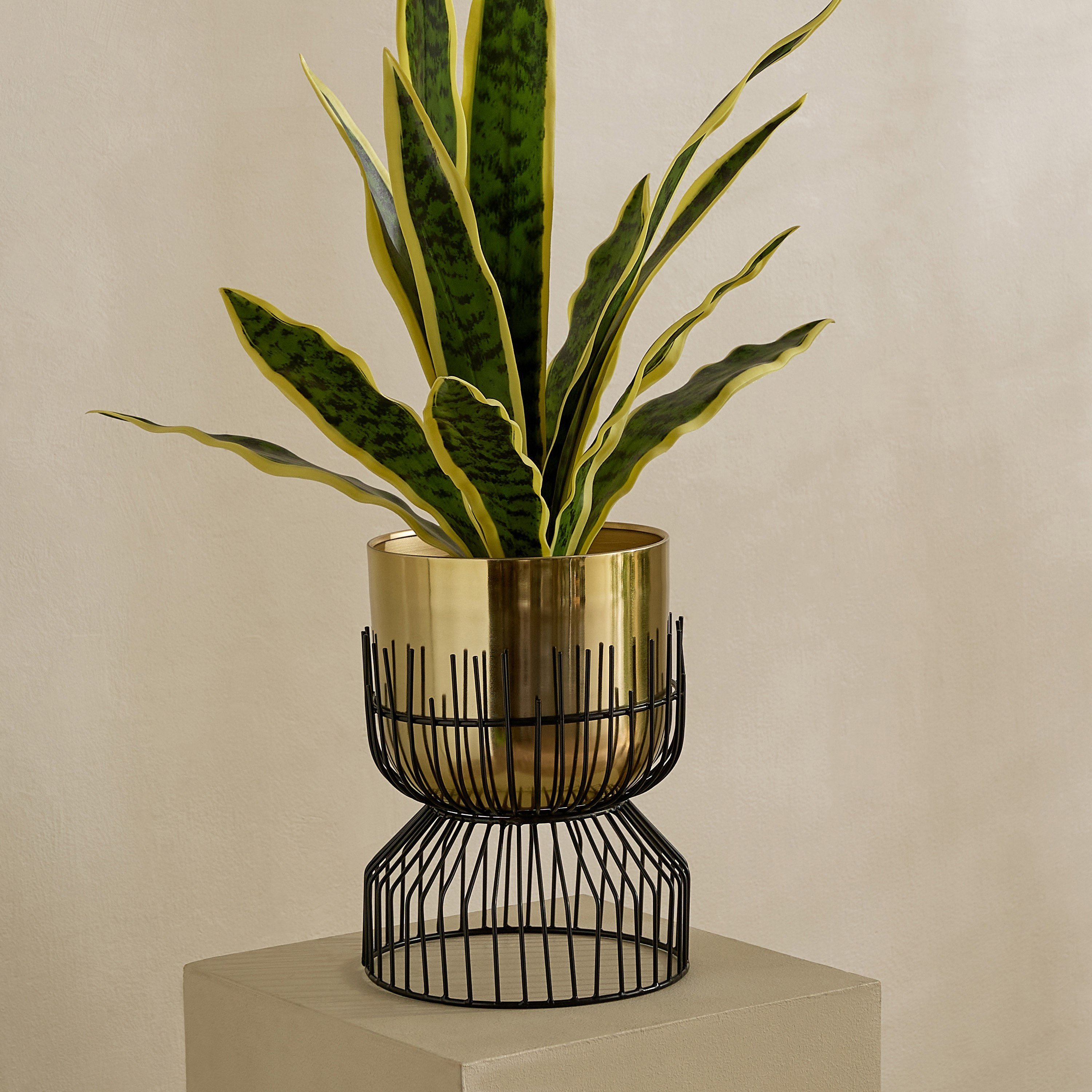 Vista Ace Premium Metal Planter Stand - 18x25 cm-hbxhomeware-hbxdecorandfurnishings-image-5