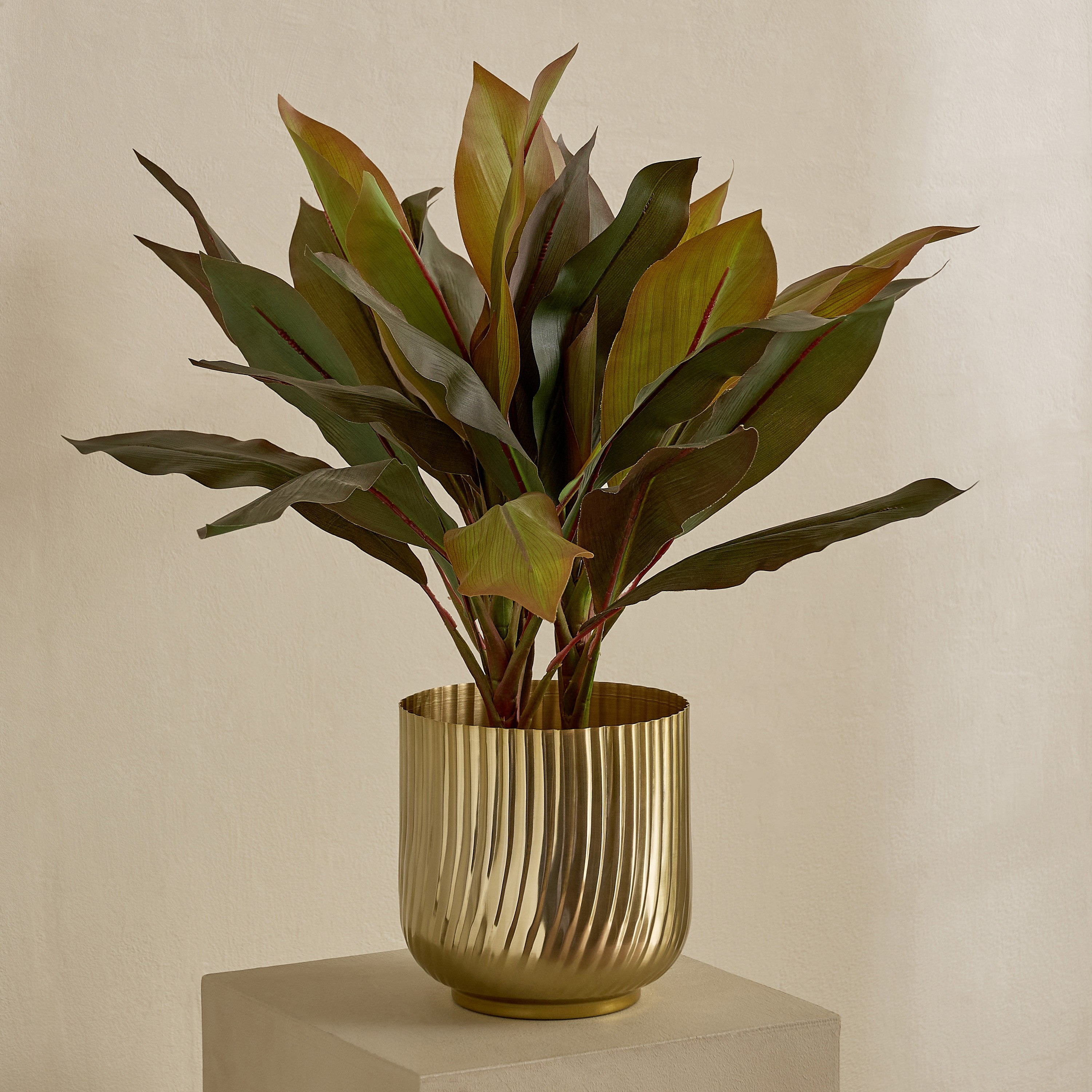 إناء زرع معدن فاخر من فيستا إيس – 19×19 سم-hbxhomeware-hbxdecorandfurnishings-image-5