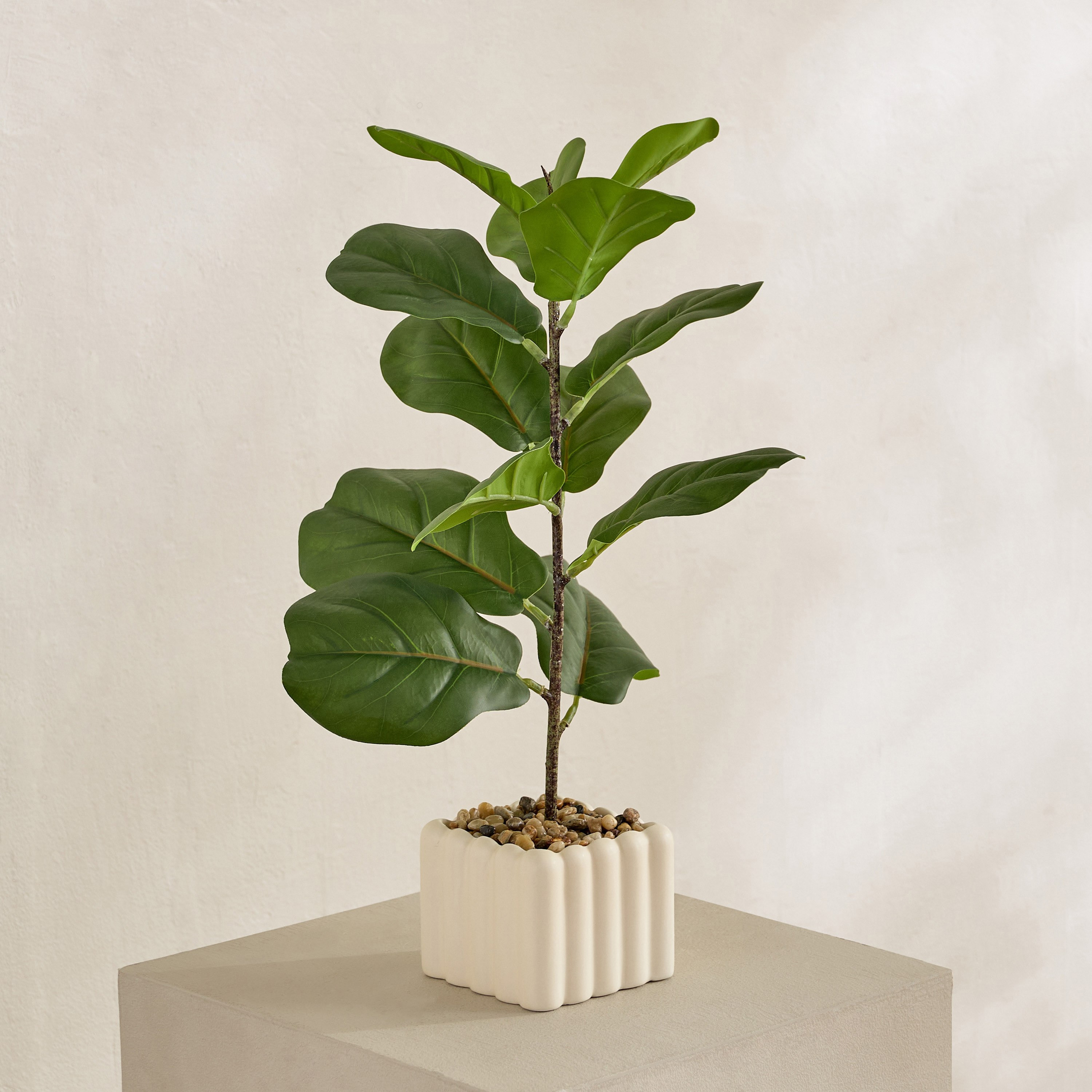 نبتة التين الصناعية في إناء سيراميك من إيفرجرين - 45 سم-hbxdecorandfurnishings-homeaccessories-artificialflowersandplants-image-1