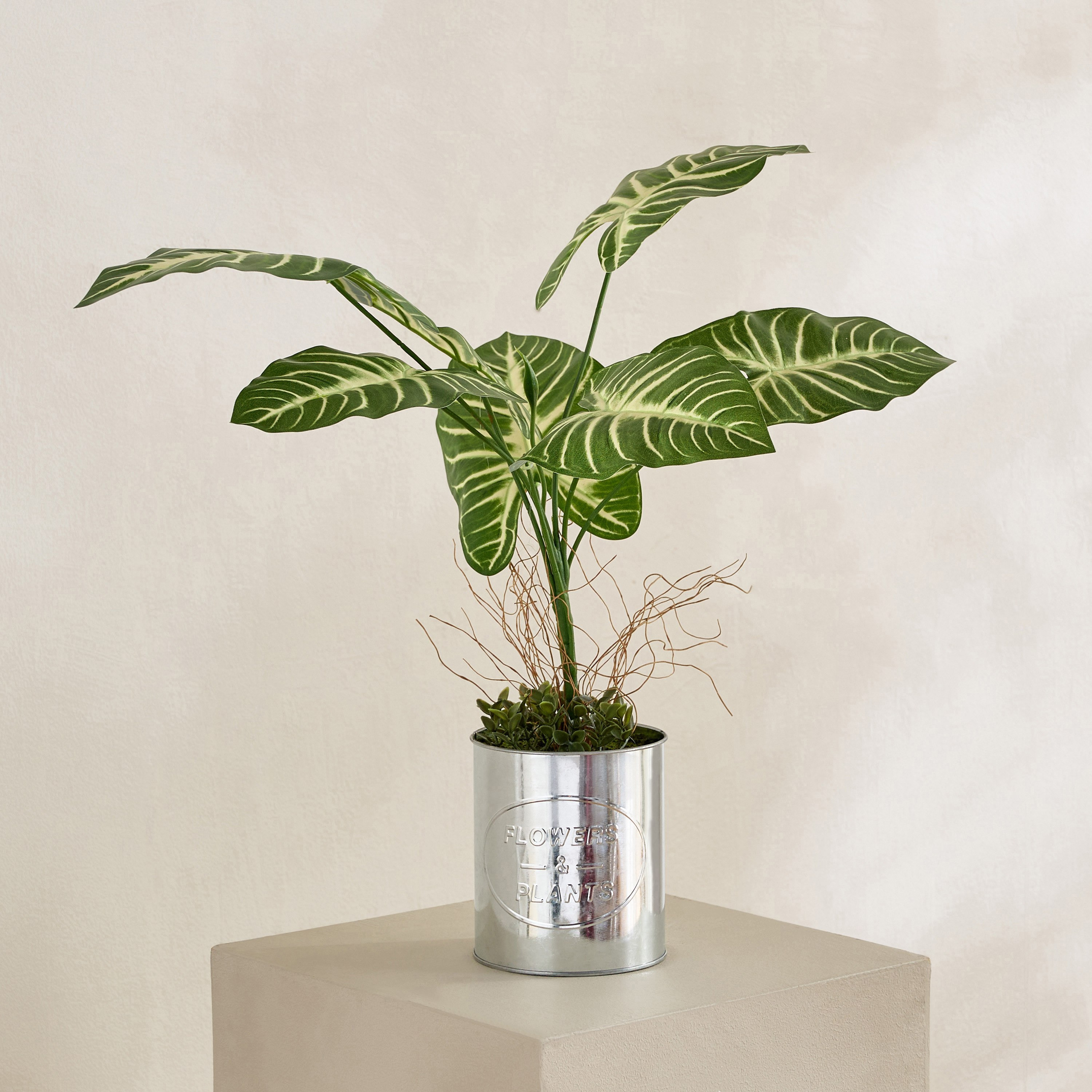Evergreen Artificial Calathea Orbifolia Plant in Galvanised Iron Pot - 50 cm-hbxdecorandfurnishings-homeaccessories-artificialflowersandplants-image-1
