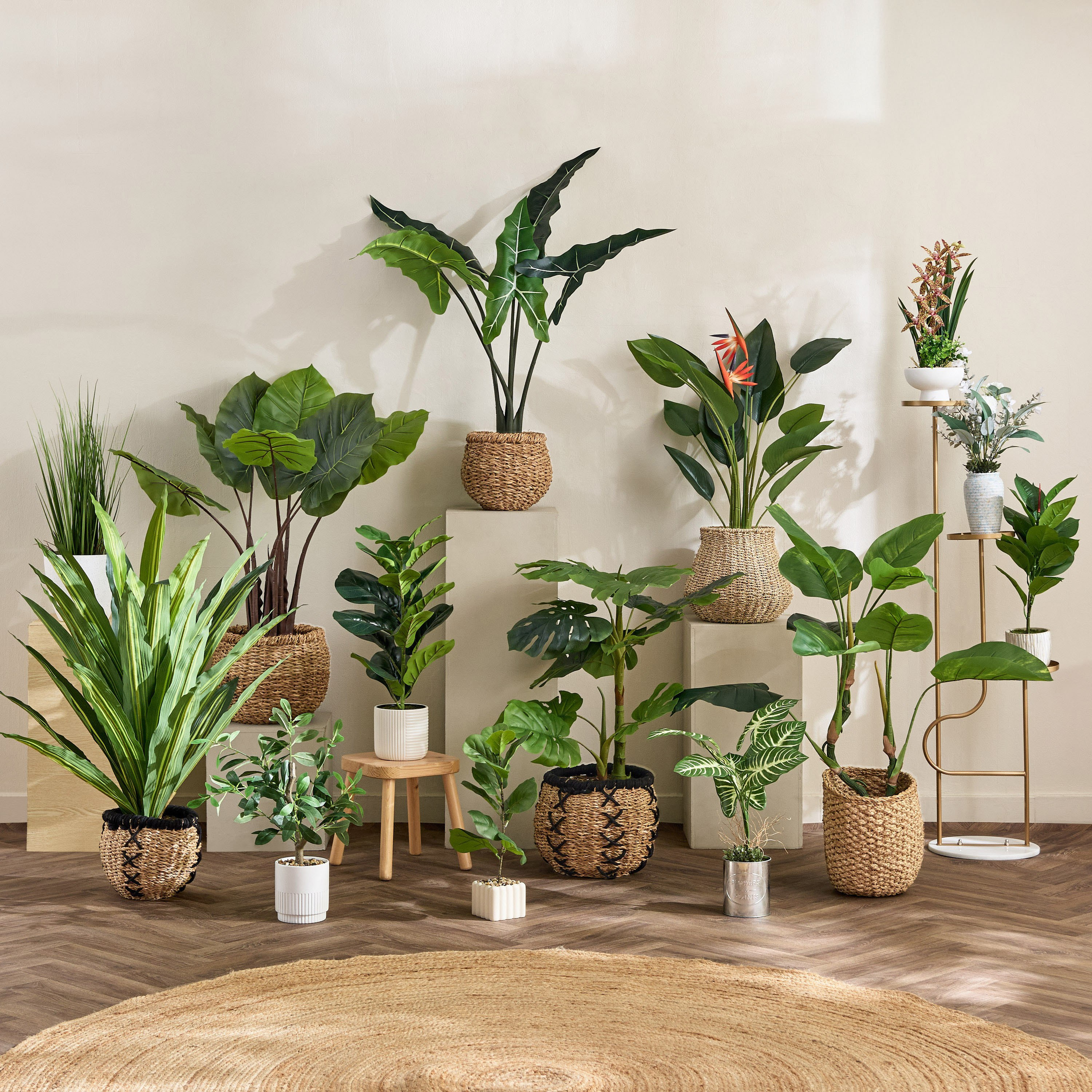 Evergreen Artificial Calathea Orbifolia Plant in Galvanised Iron Pot - 50 cm-hbxdecorandfurnishings-homeaccessories-artificialflowersandplants-image-3