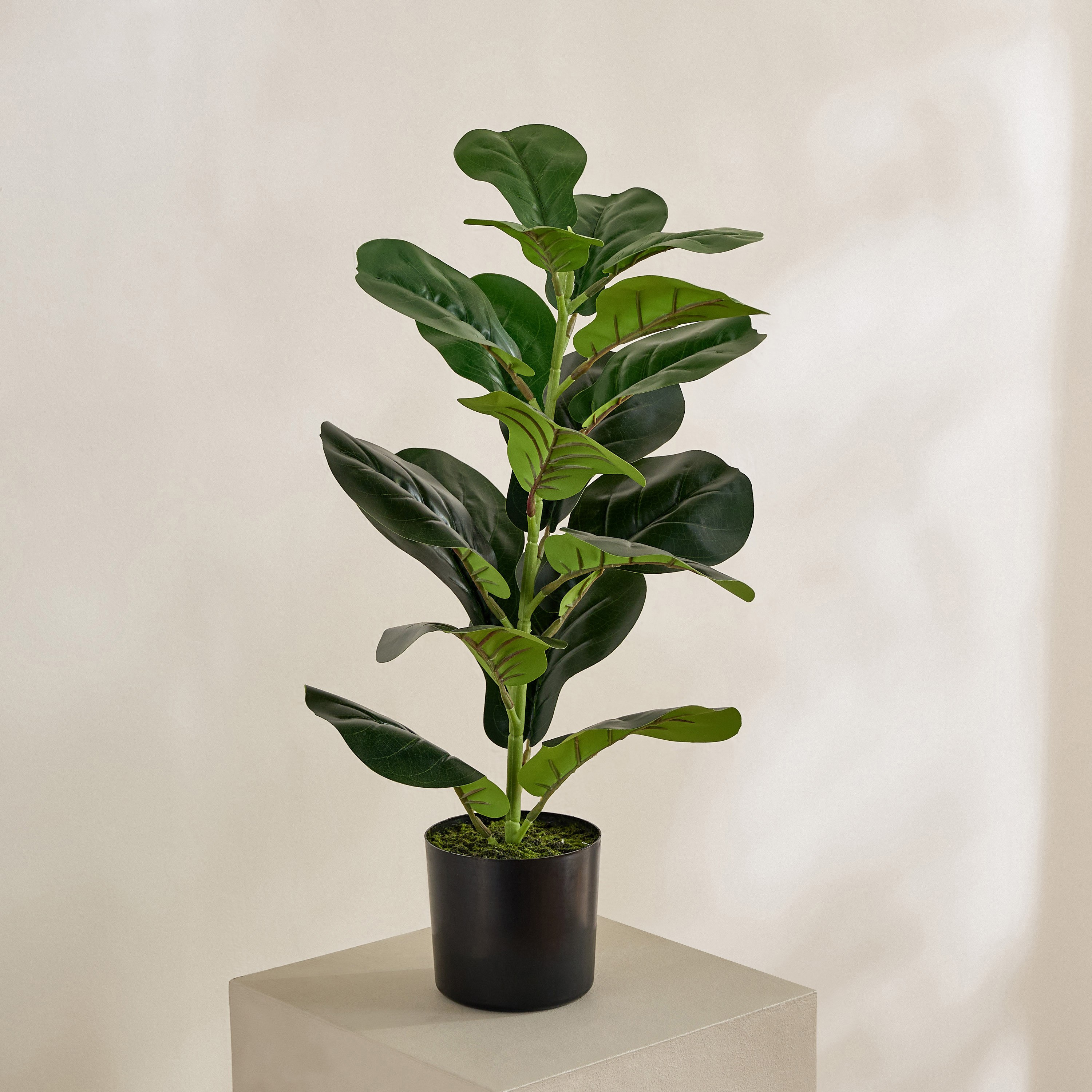 نبتة ورق التين الصناعية في إناء من إيفرجرين - 60 سم-hbxdecorandfurnishings-homeaccessories-artificialflowersandplants-image-1