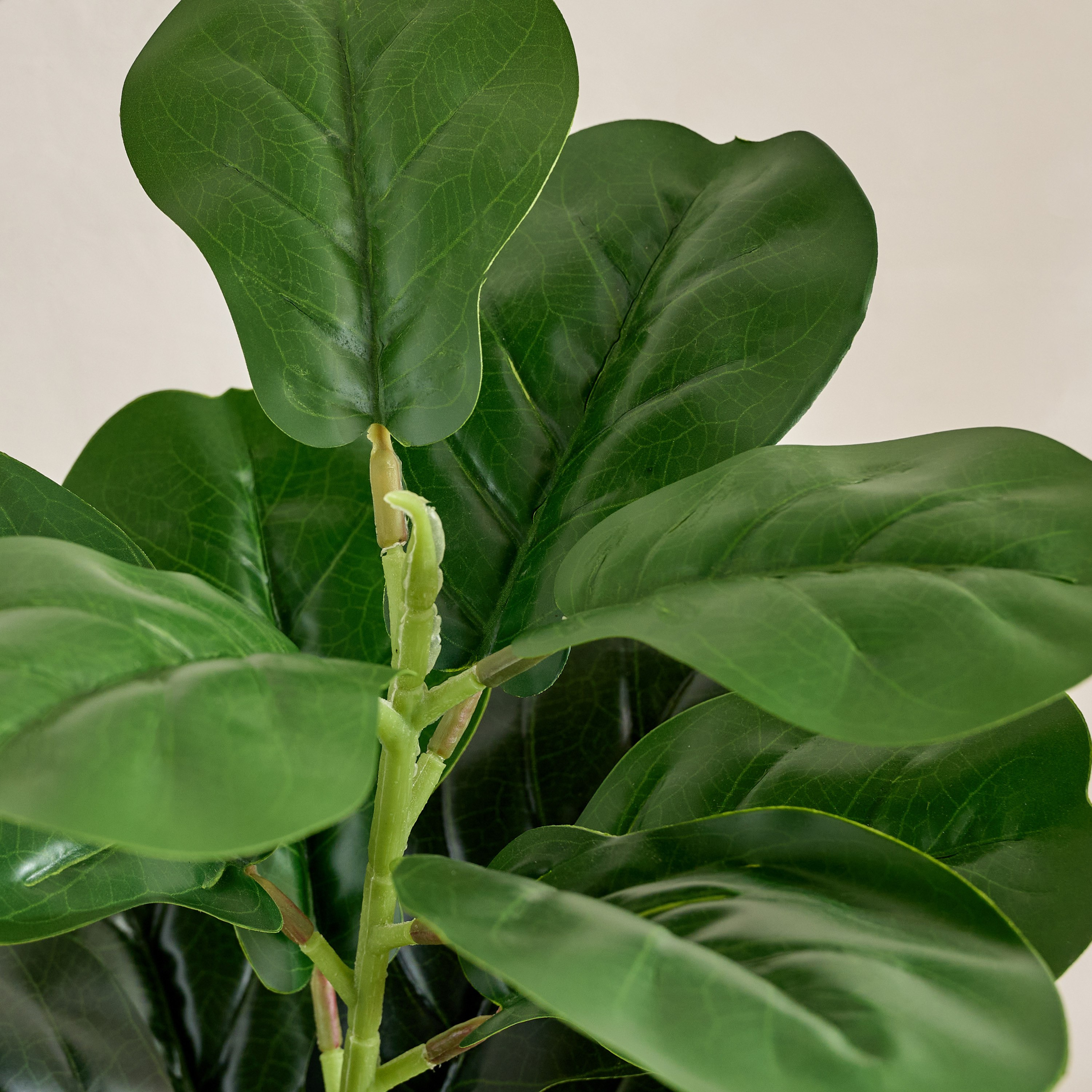 نبتة ورق التين الصناعية في إناء من إيفرجرين - 60 سم-hbxdecorandfurnishings-homeaccessories-artificialflowersandplants-image-2