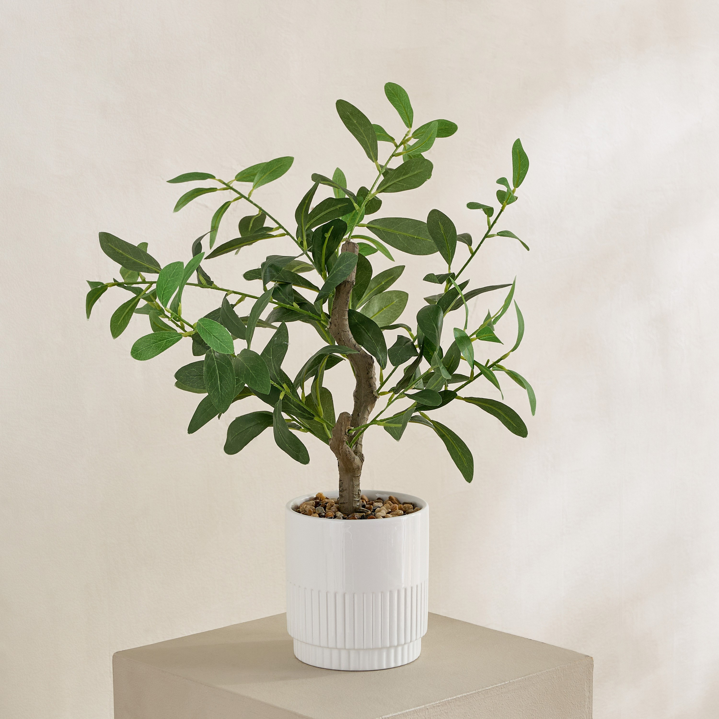 شجرة زيتون صناعية في إناء سيراميك من إيفرجرين - 60 سم-hbxdecorandfurnishings-homeaccessories-artificialflowersandplants-image-1