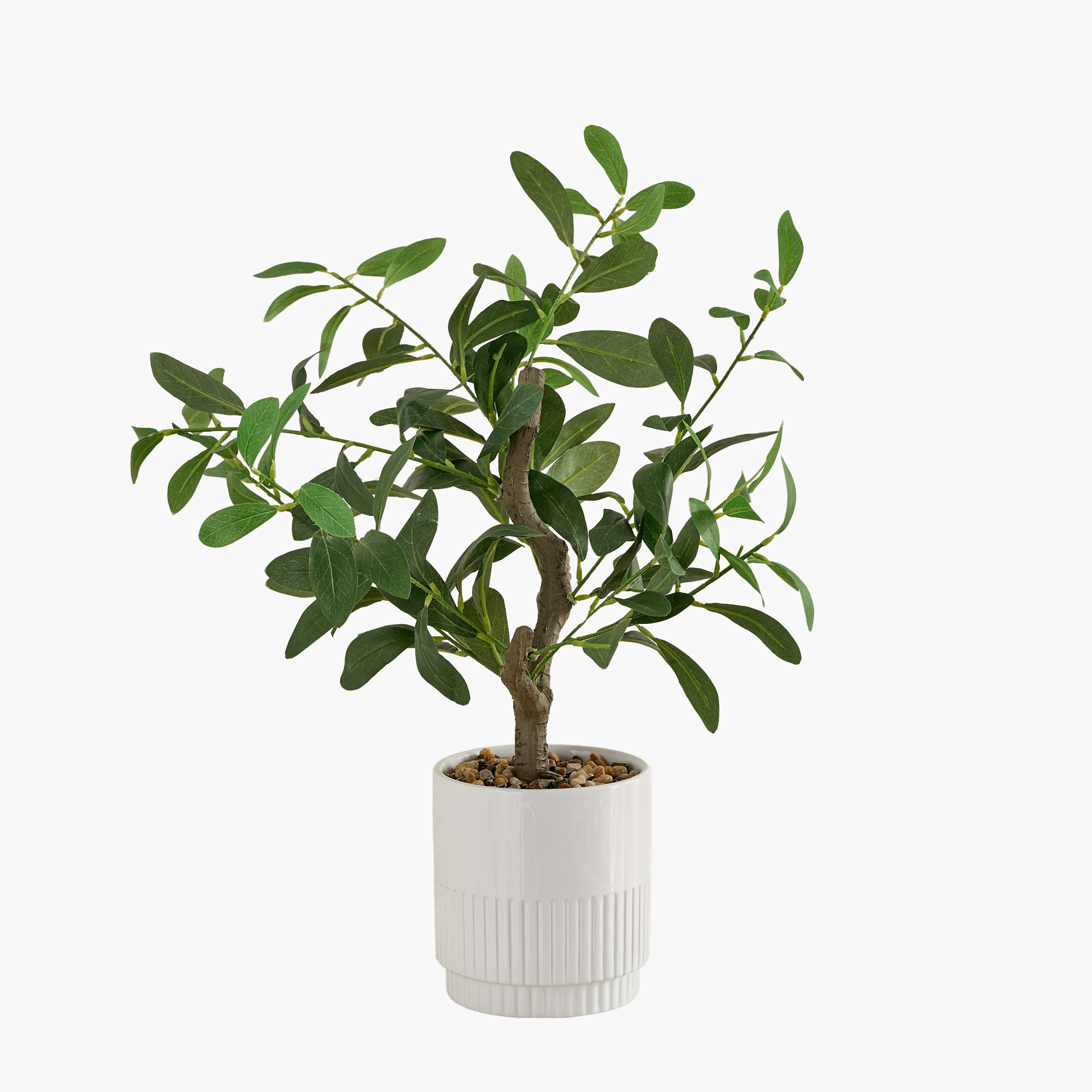 شجرة زيتون صناعية في إناء سيراميك من إيفرجرين - 60 سم-hbxdecorandfurnishings-homeaccessories-artificialflowersandplants-image-4