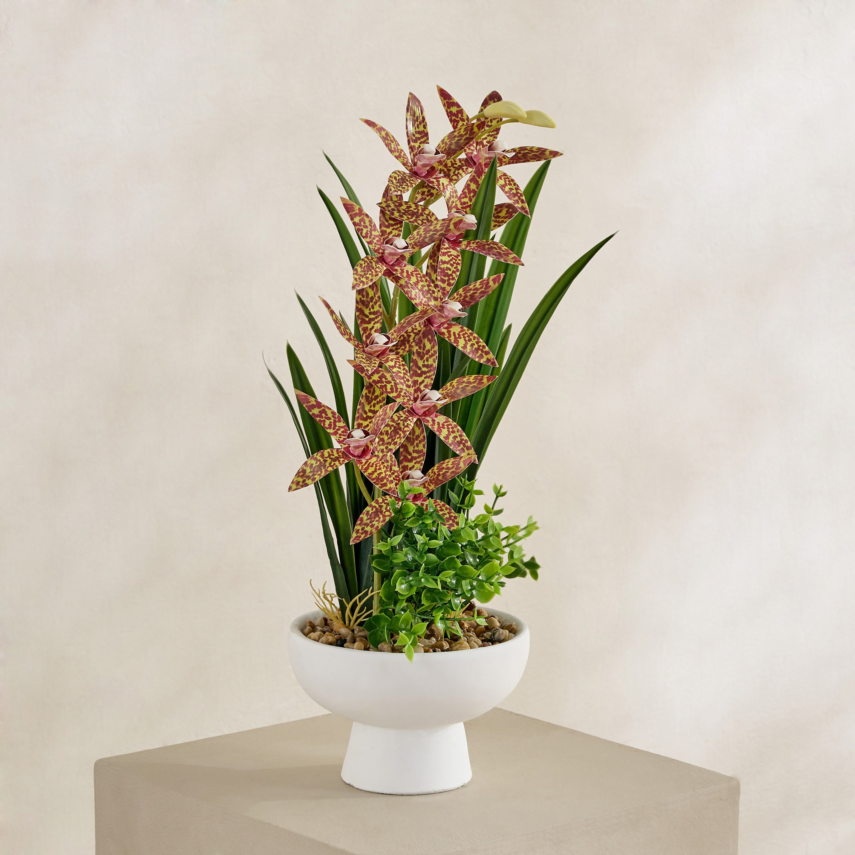 Buy Evergreen Artificial Gongora Maculata Potted Plant in Ceramic Pot ...