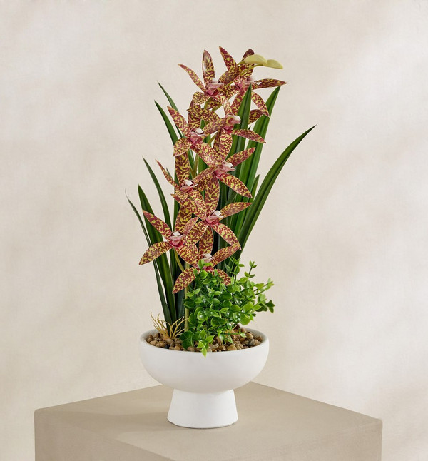 Buy Evergreen Artificial Gongora Maculata Potted Plant in Ceramic Pot ...