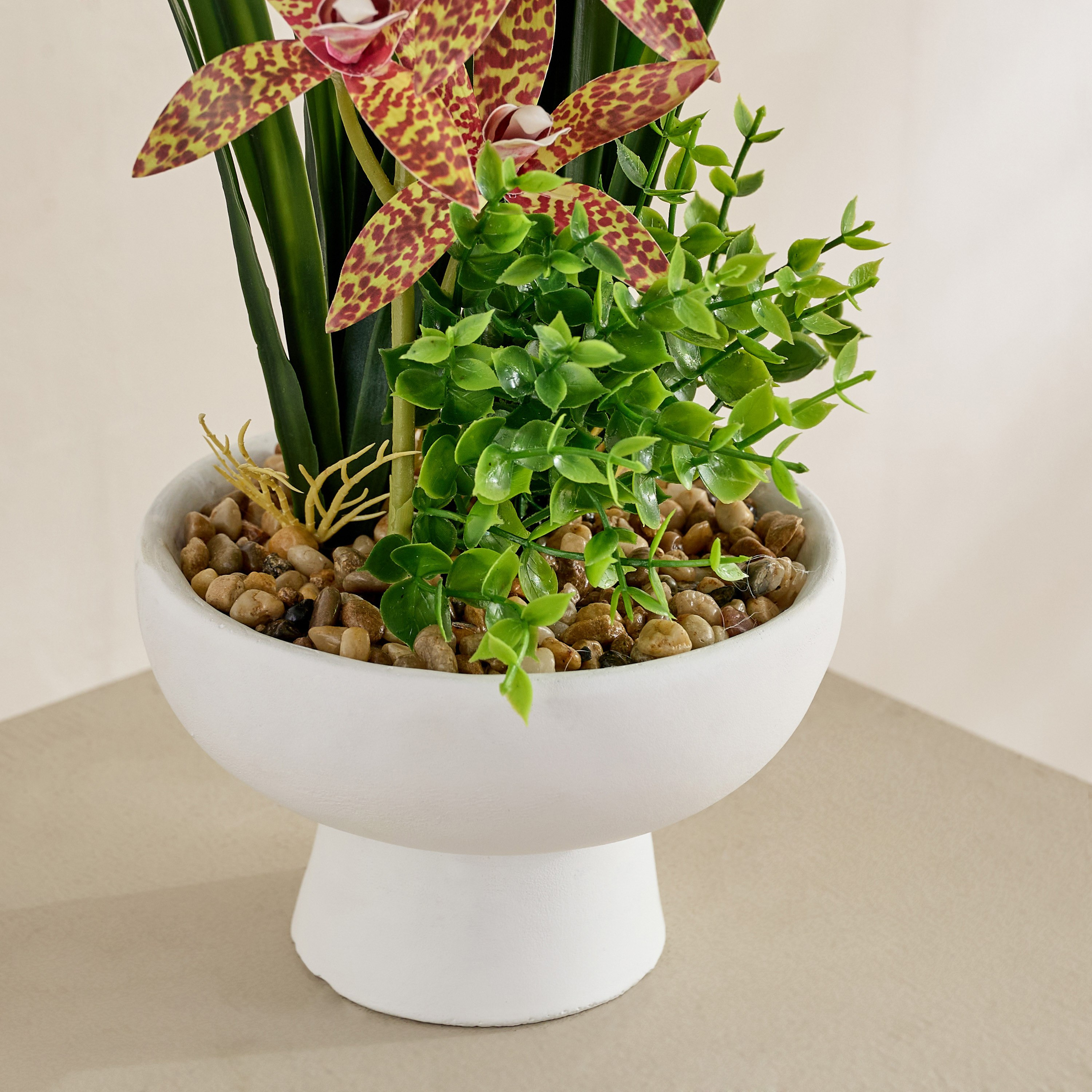 Evergreen Artificial Gongora Maculata Potted Plant in Ceramic Pot - 52 cm-hbxdecorandfurnishings-homeaccessories-artificialflowersandplants-image-2