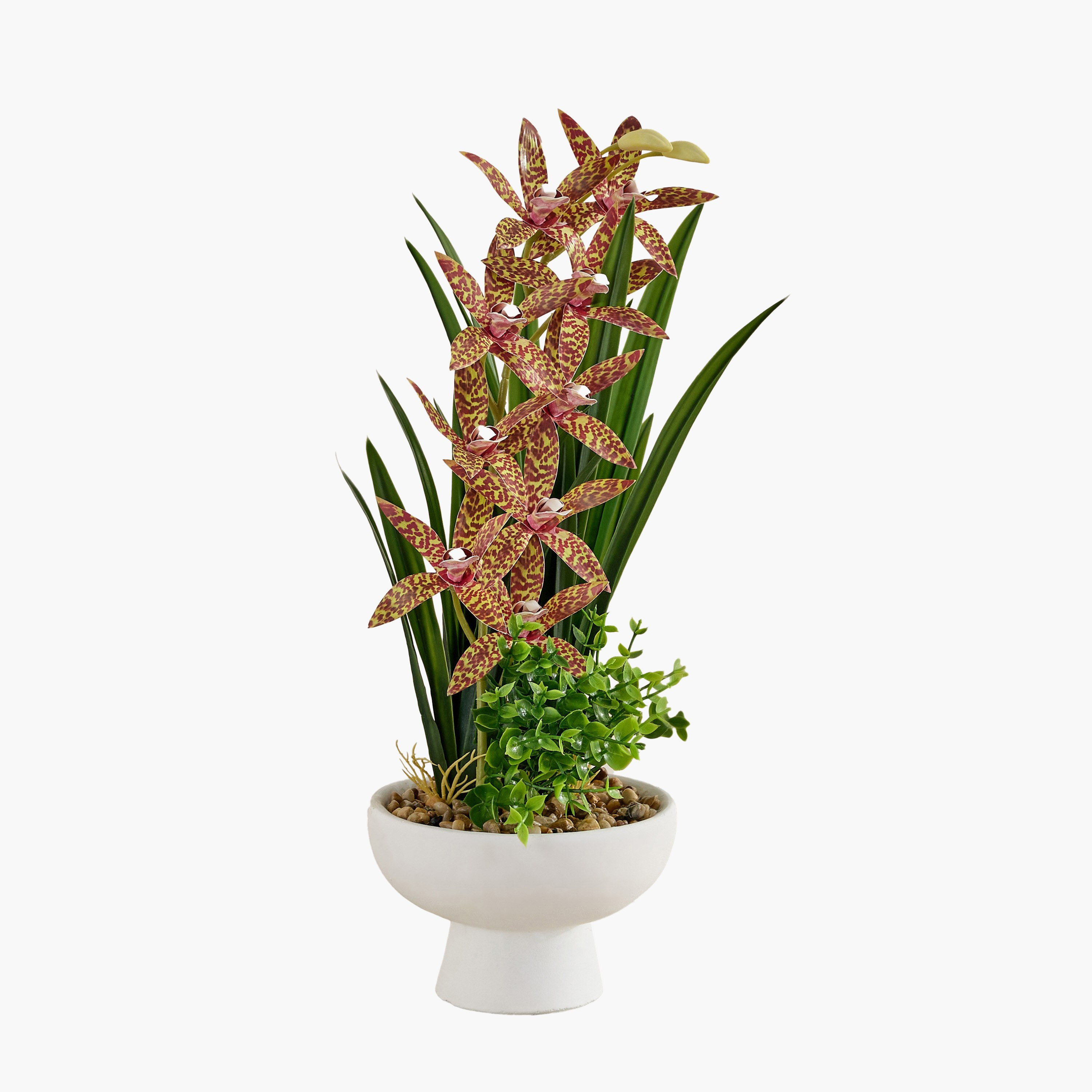Evergreen Artificial Gongora Maculata Potted Plant in Ceramic Pot - 52 cm-hbxdecorandfurnishings-homeaccessories-artificialflowersandplants-image-4