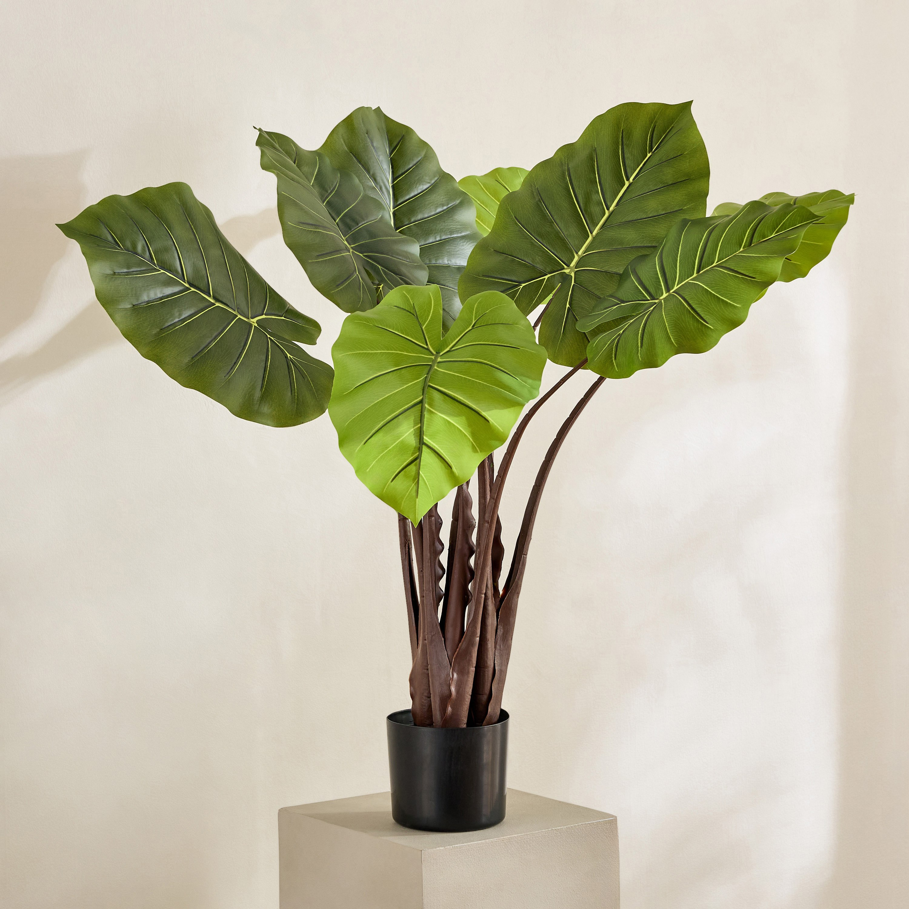 Evergreen Artificial Alocasia Potted Plant - 100 cm-hbxdecorandfurnishings-homeaccessories-artificialflowersandplants-image-1