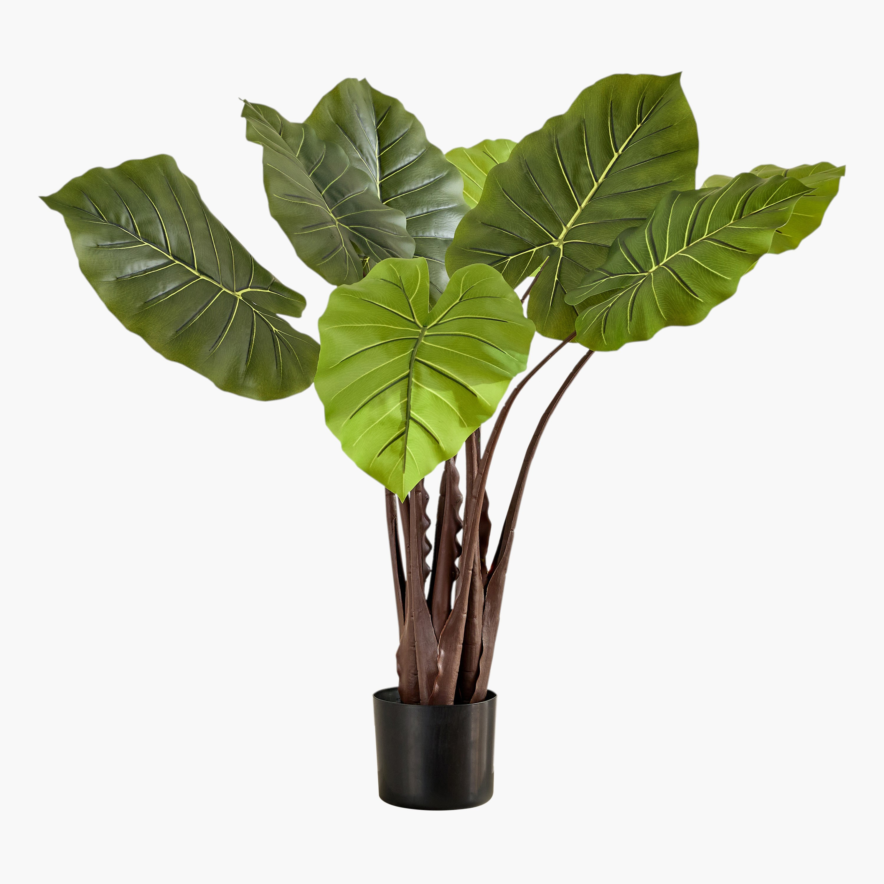 Evergreen Artificial Alocasia Potted Plant - 100 cm-hbxdecorandfurnishings-homeaccessories-artificialflowersandplants-image-4