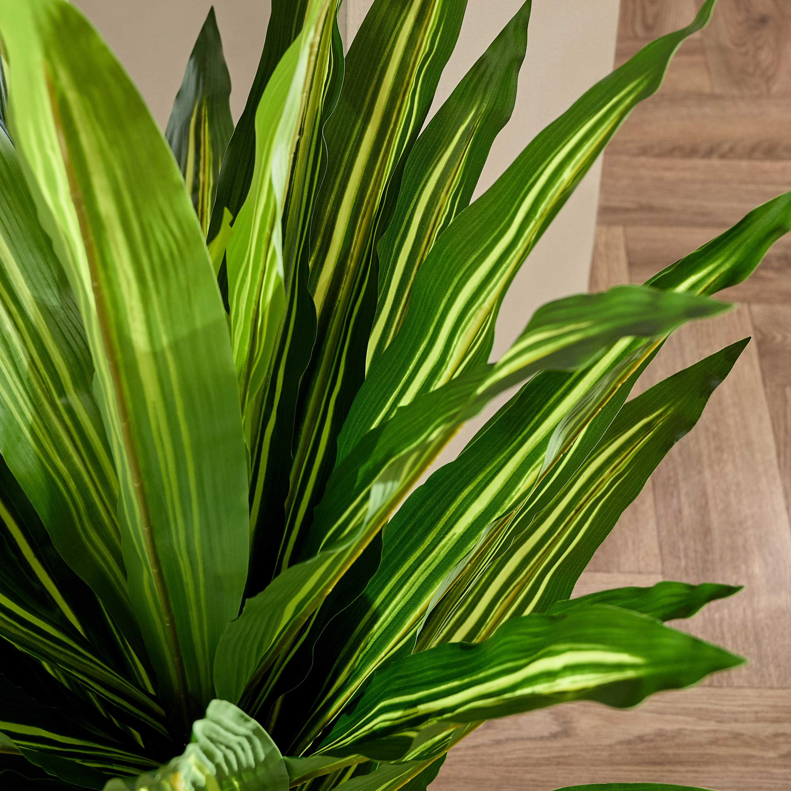 Evergreen Artificial Massangeana Potted Plant - 90 cm-hbxdecorandfurnishings-homeaccessories-artificialflowersandplants-image-2