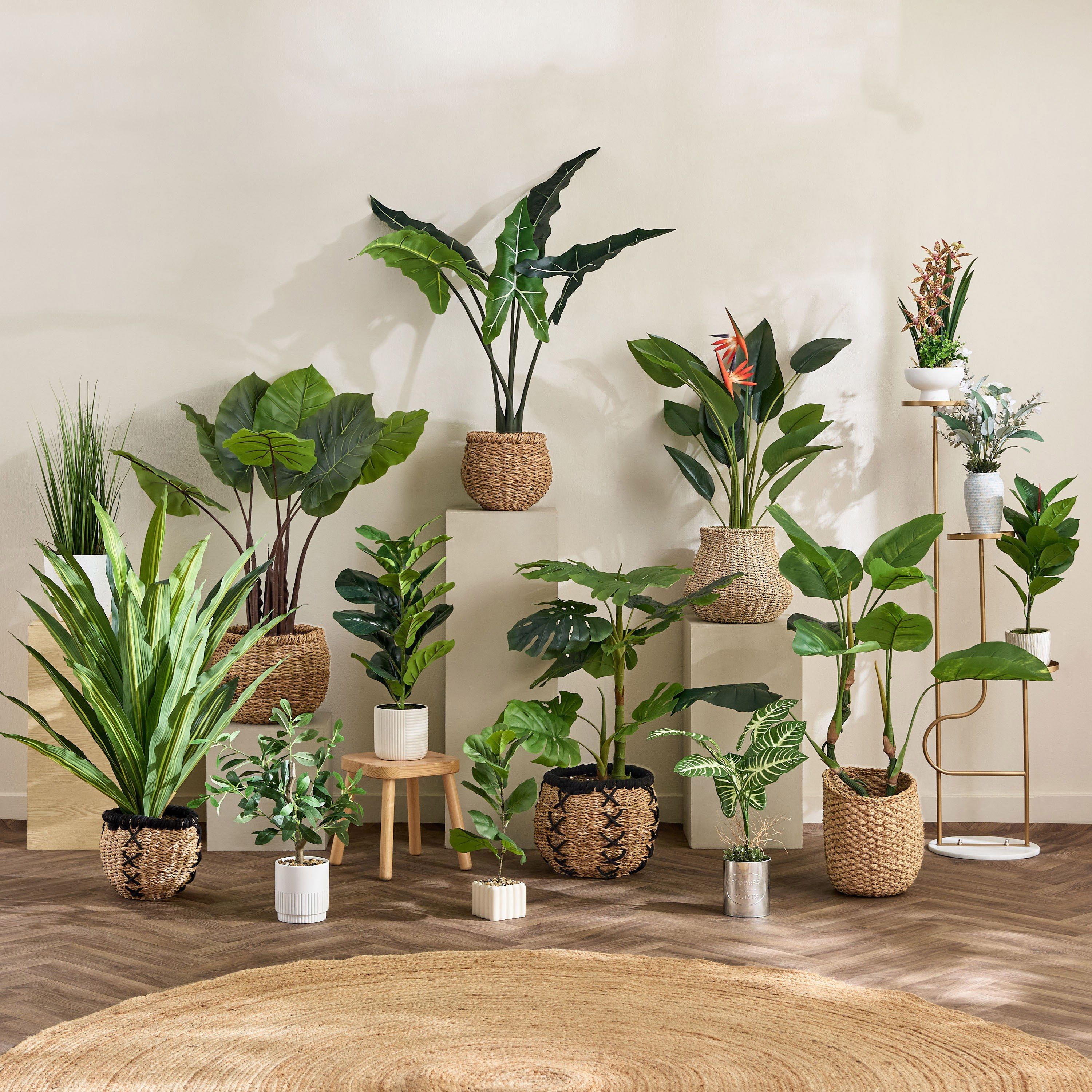 Evergreen Artificial Massangeana Potted Plant - 90 cm-hbxdecorandfurnishings-homeaccessories-artificialflowersandplants-image-3