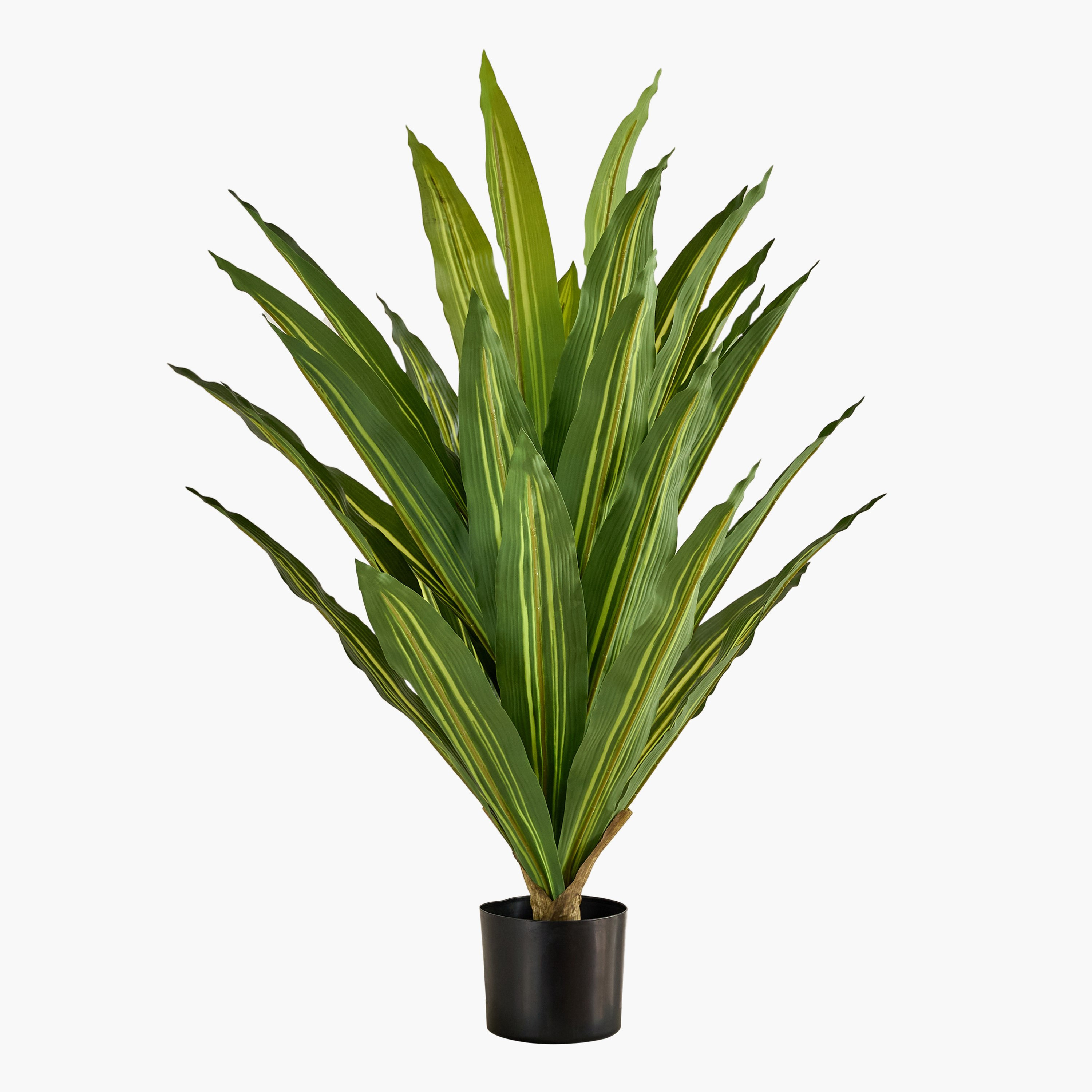Evergreen Artificial Massangeana Potted Plant - 90 cm-hbxdecorandfurnishings-homeaccessories-artificialflowersandplants-image-4