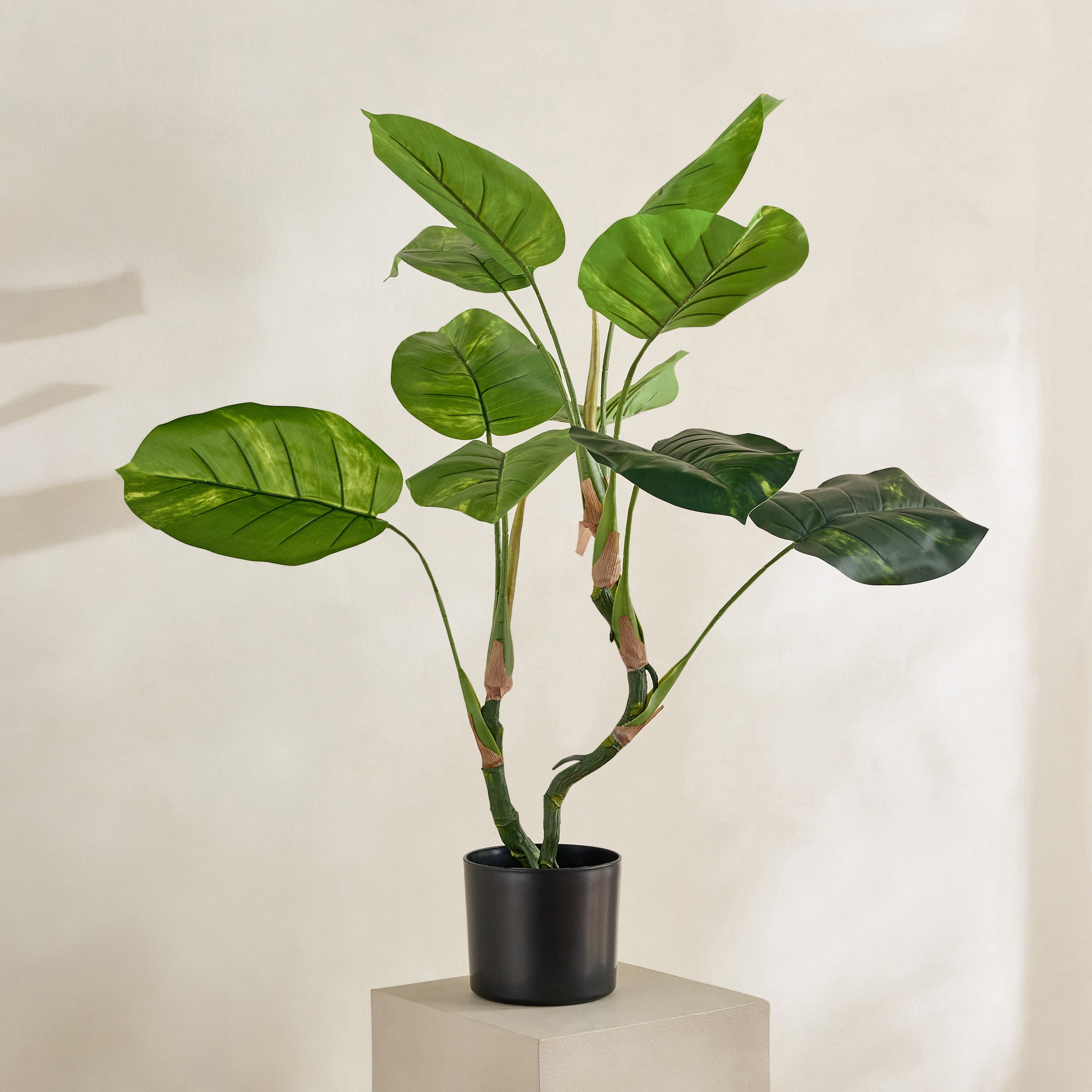 Evergreen Artificial Philodendron Erubescens Potted Plant - 90 cm-hbxdecorandfurnishings-homeaccessories-artificialflowersandplants-image-1