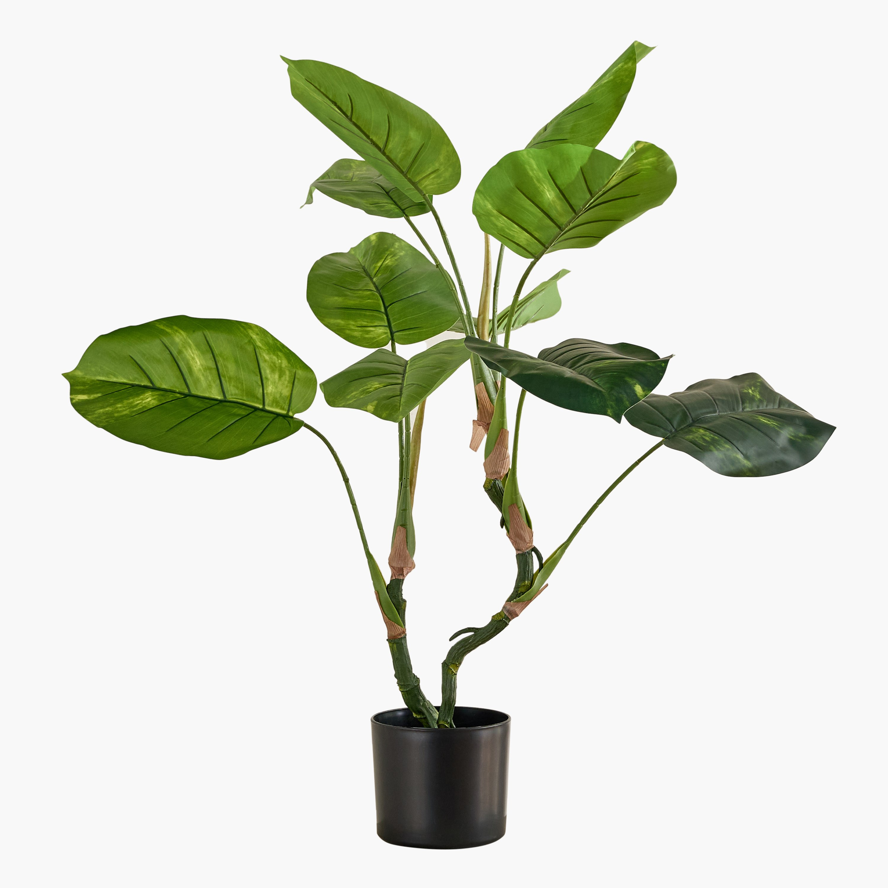 Evergreen Artificial Philodendron Erubescens Potted Plant - 90 cm-hbxdecorandfurnishings-homeaccessories-artificialflowersandplants-image-4