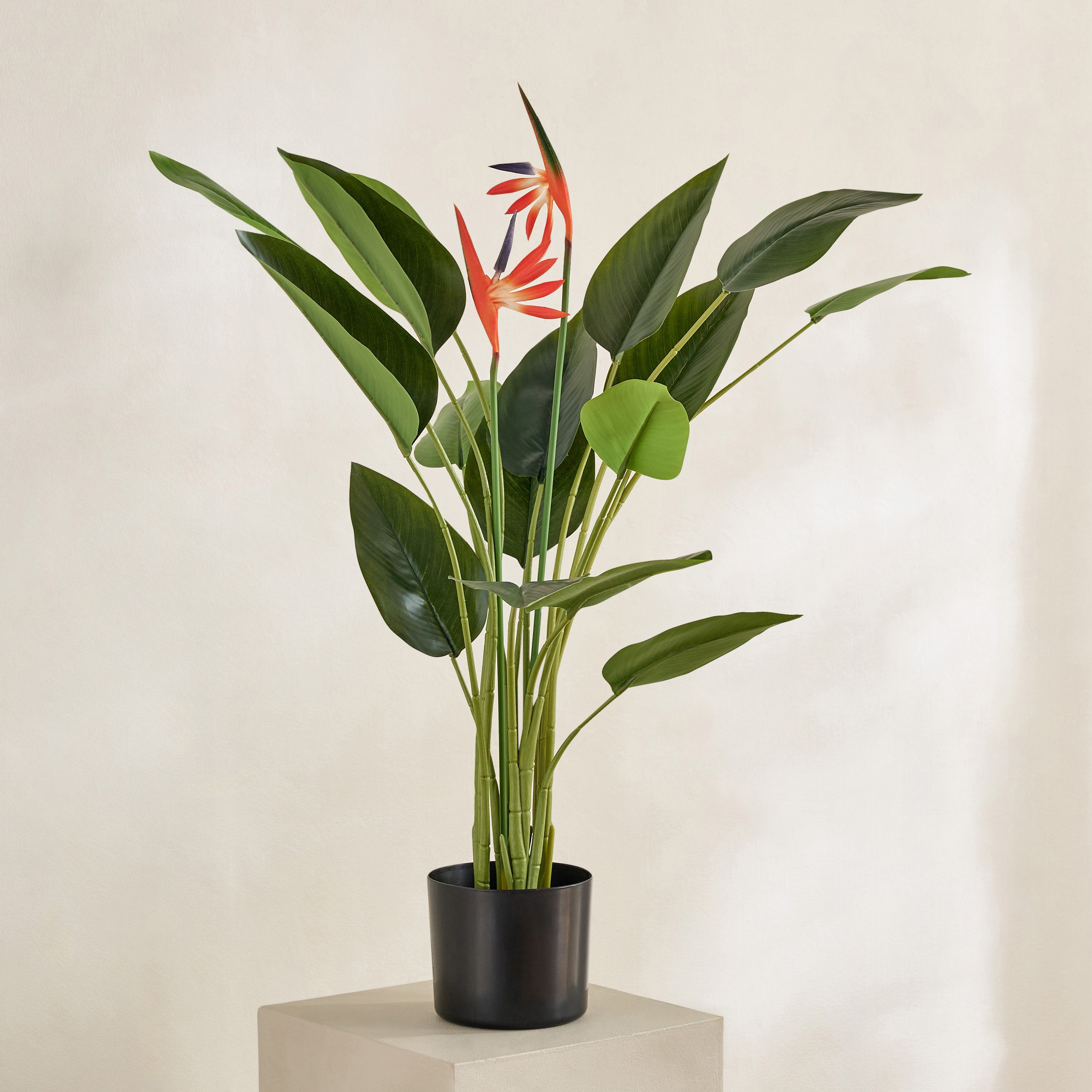 Evergreen Artificial Strelitzia Reginae Potted Plant - 100 cm-hbxdecorandfurnishings-homeaccessories-artificialflowersandplants-image-1