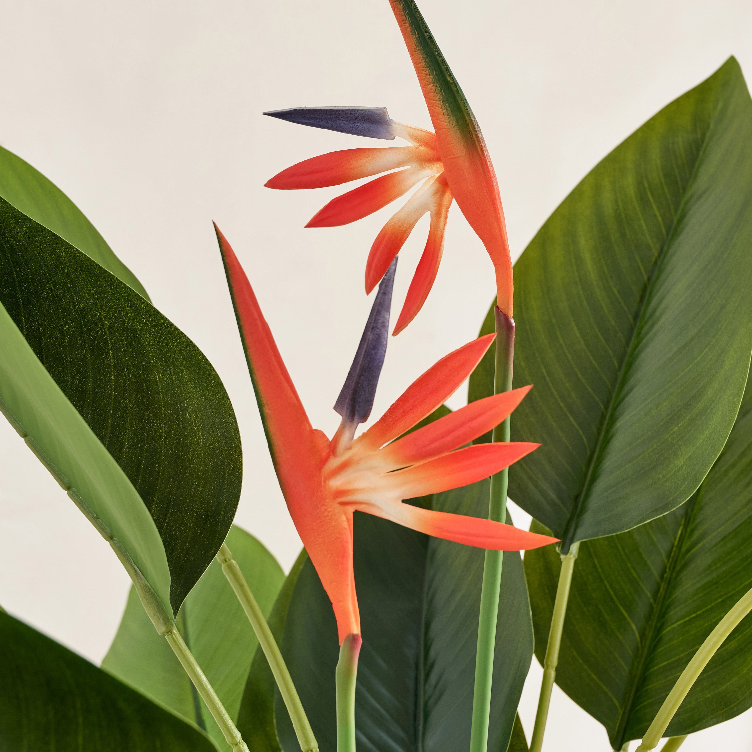 Evergreen Artificial Strelitzia Reginae Potted Plant - 100 cm-hbxdecorandfurnishings-homeaccessories-artificialflowersandplants-image-2