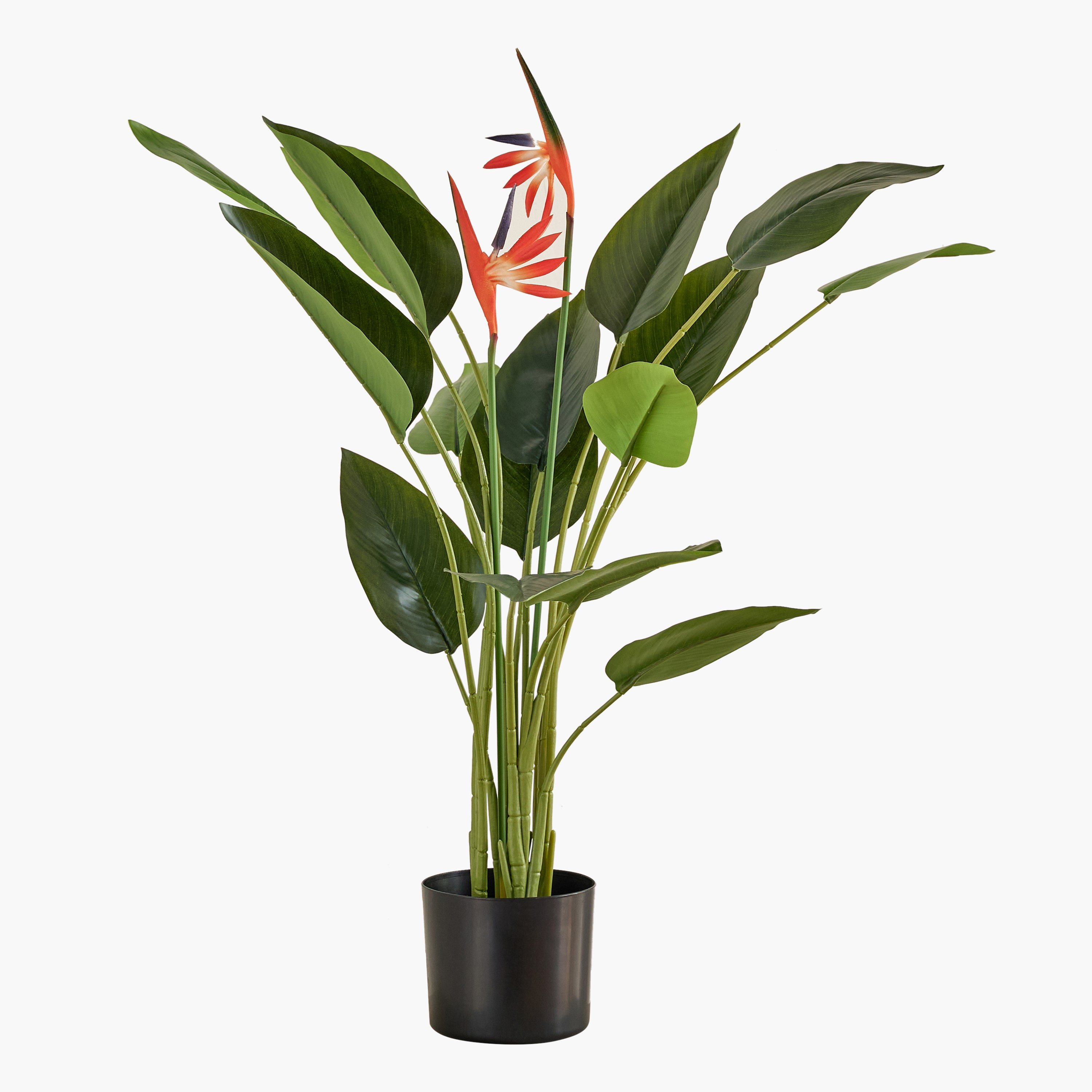 Evergreen Artificial Strelitzia Reginae Potted Plant - 100 cm-hbxdecorandfurnishings-homeaccessories-artificialflowersandplants-image-4