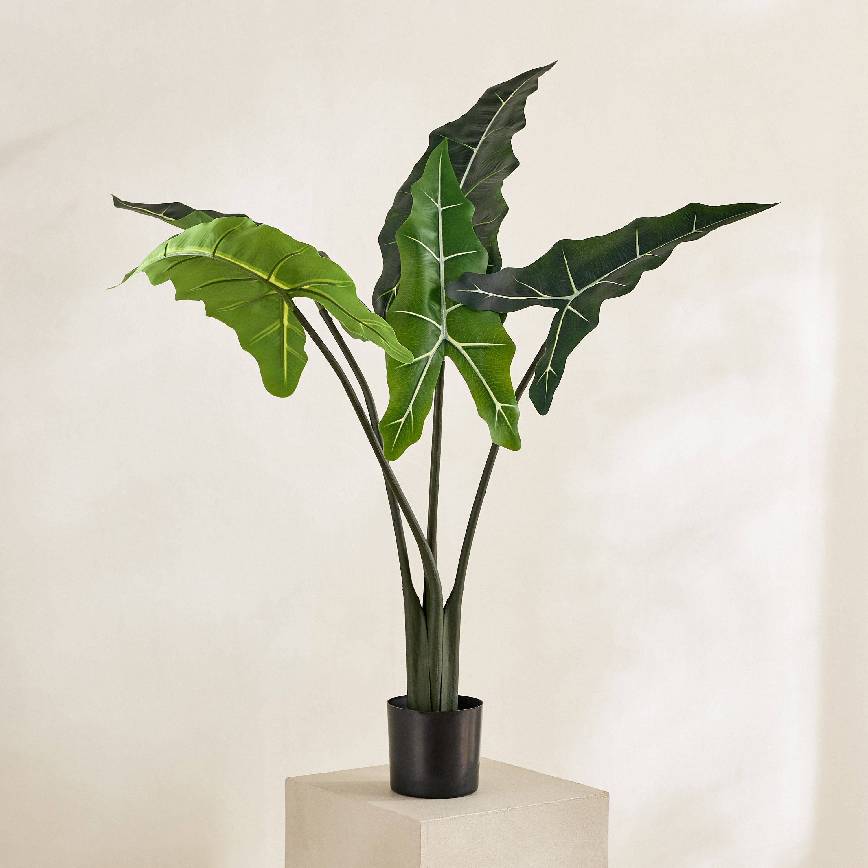 Evergreen Artificial Alocasia Sarian Potted Plant - 90 cm-hbxdecorandfurnishings-homeaccessories-artificialflowersandplants-image-1