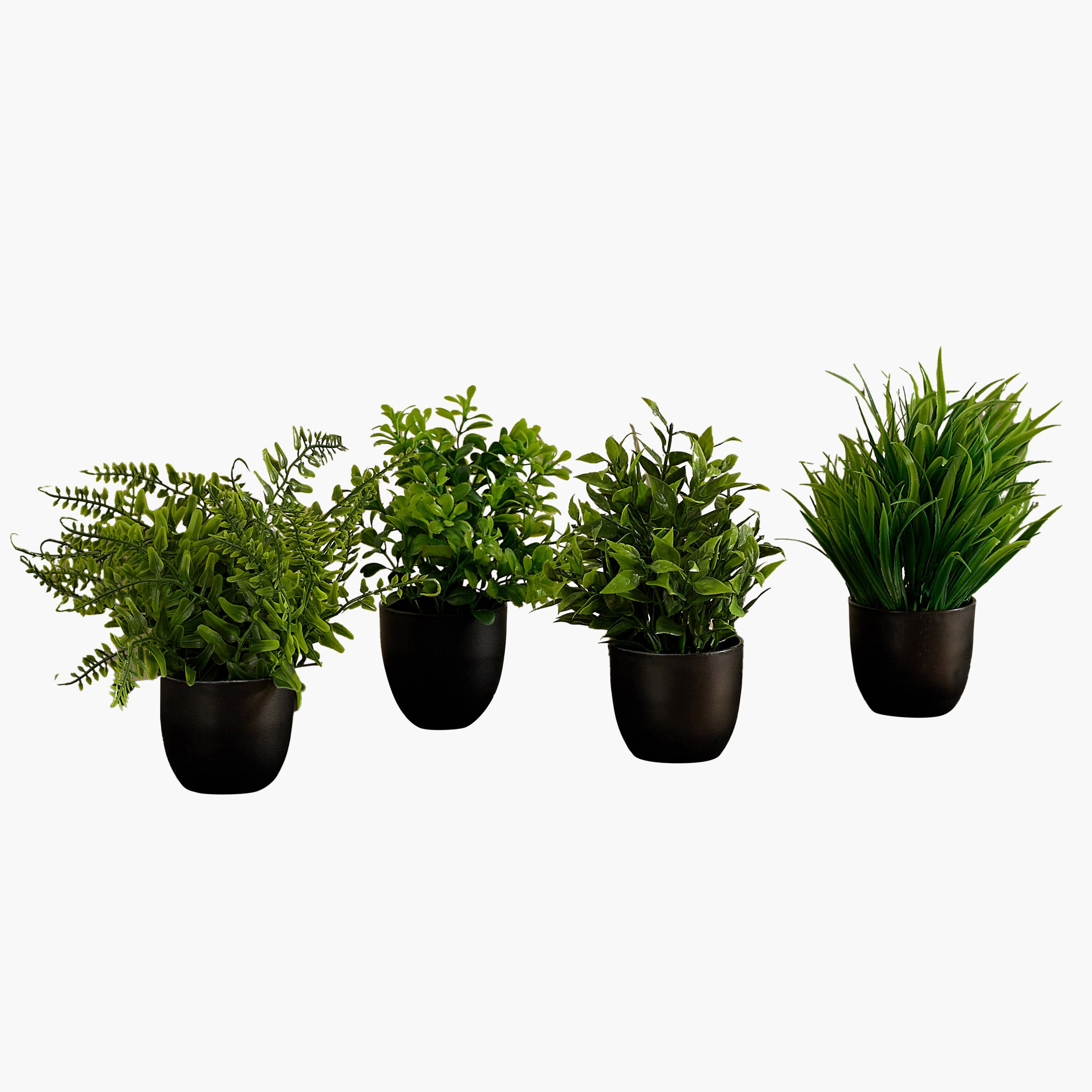 نبتة عصارية صناعية صغيرة من إيفرجرين - مجموعة من 4 قطع-hbxdecorandfurnishings-homeaccessories-artificialflowersandplants-image-5
