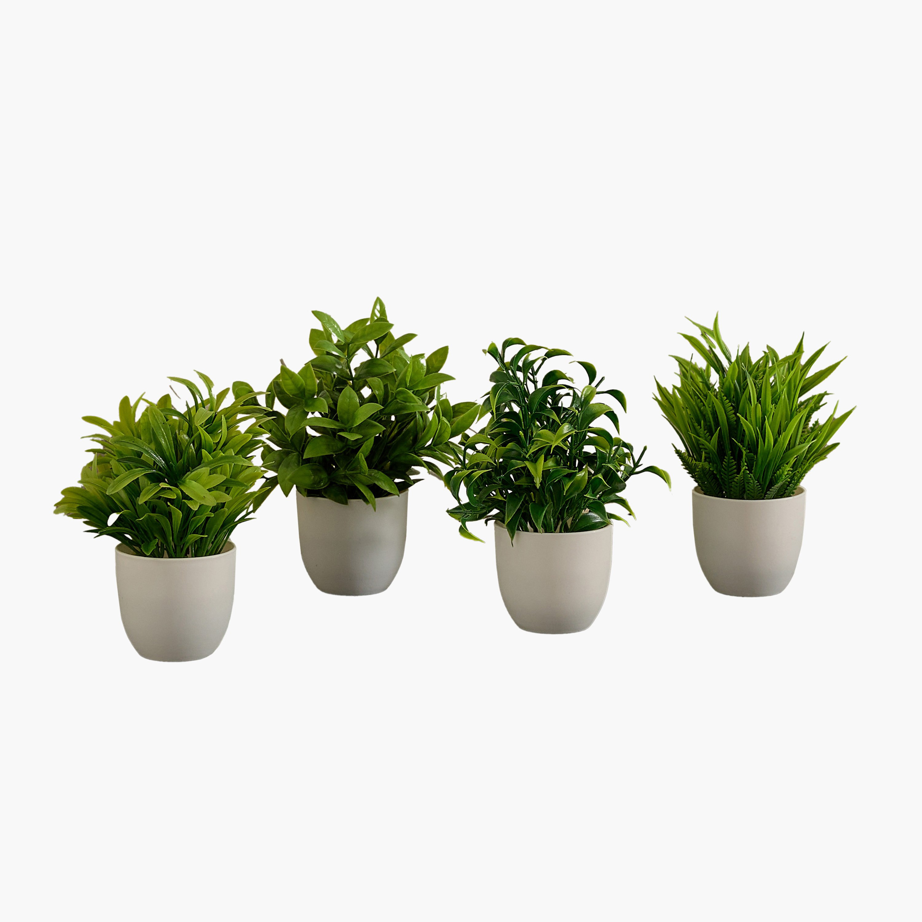 نباتات عصاري صناعية صغيرة من إيفرجرين - طقم 4 قطع-hbxdecorandfurnishings-homeaccessories-artificialflowersandplants-image-5