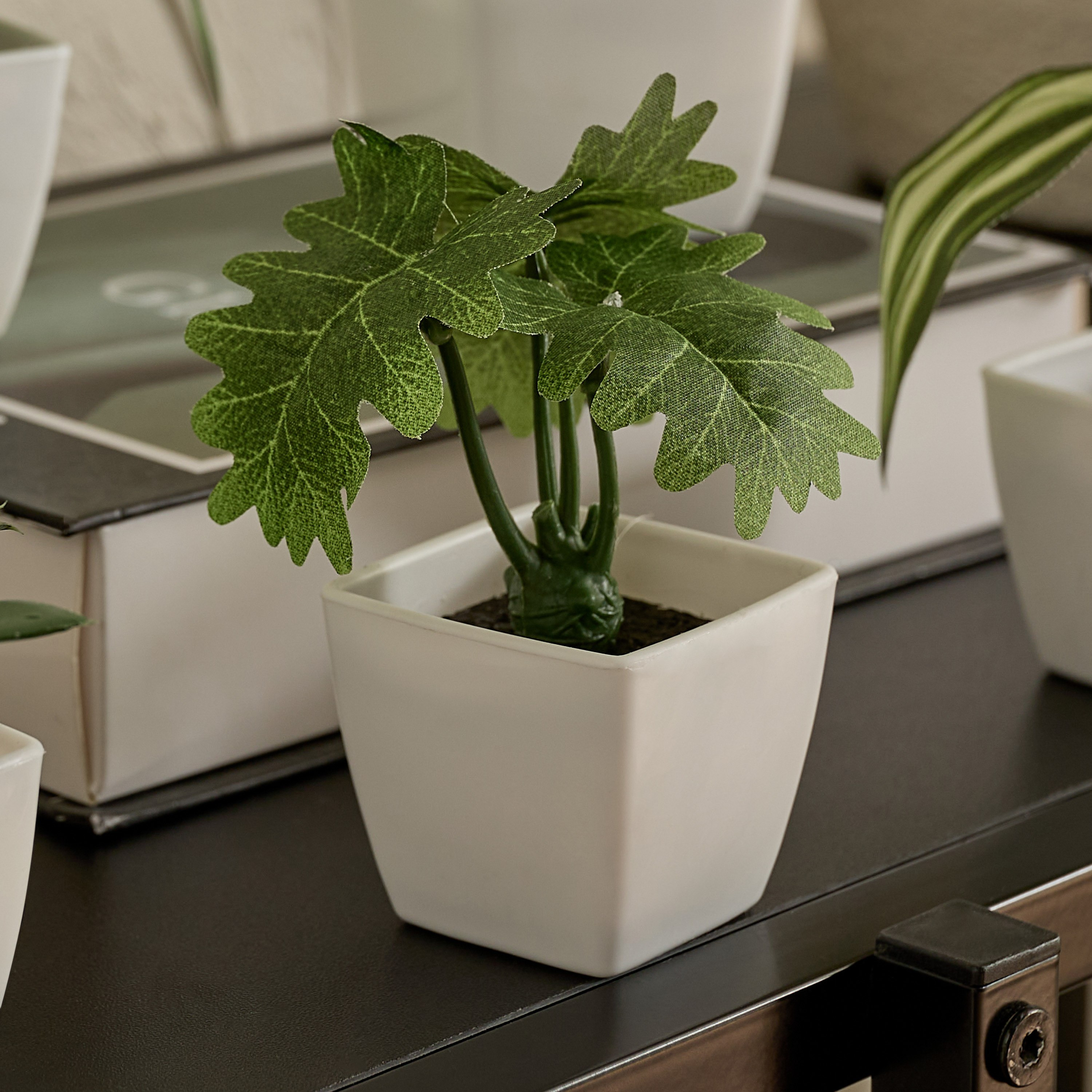 Evergreen Nordic Style Artificial Succulent - Set of 6-hbxdecorandfurnishings-homeaccessories-artificialflowersandplants-image-2