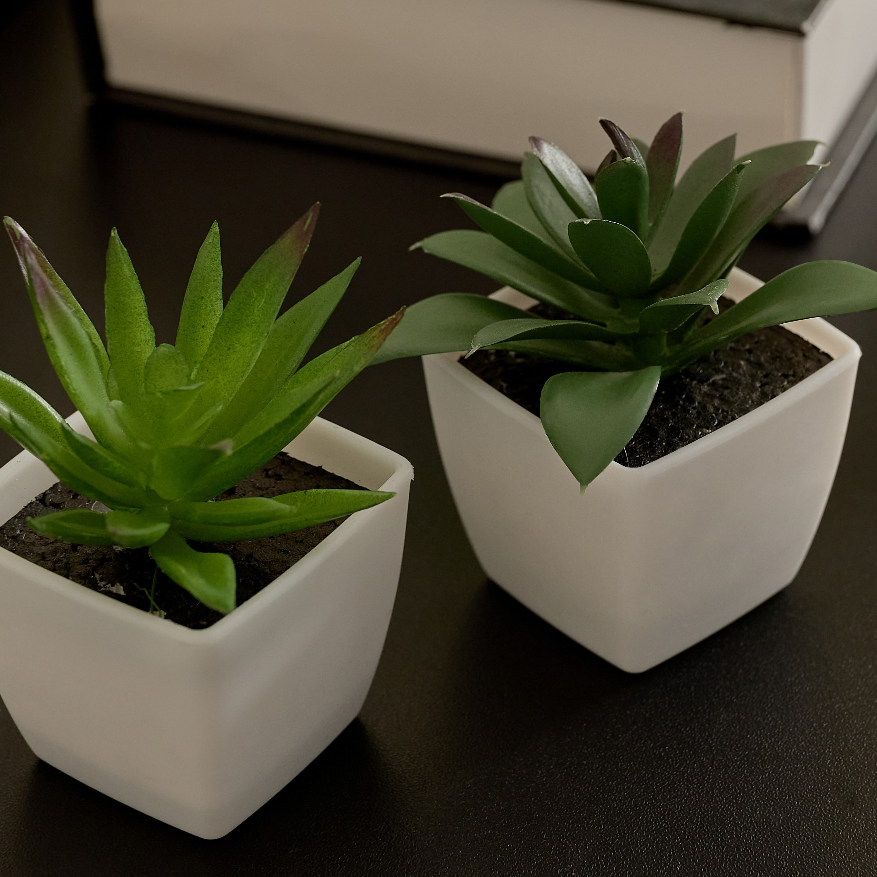 Evergreen Nordic Style Artificial Succulent - Set of 6-hbxdecorandfurnishings-homeaccessories-artificialflowersandplants-image-3