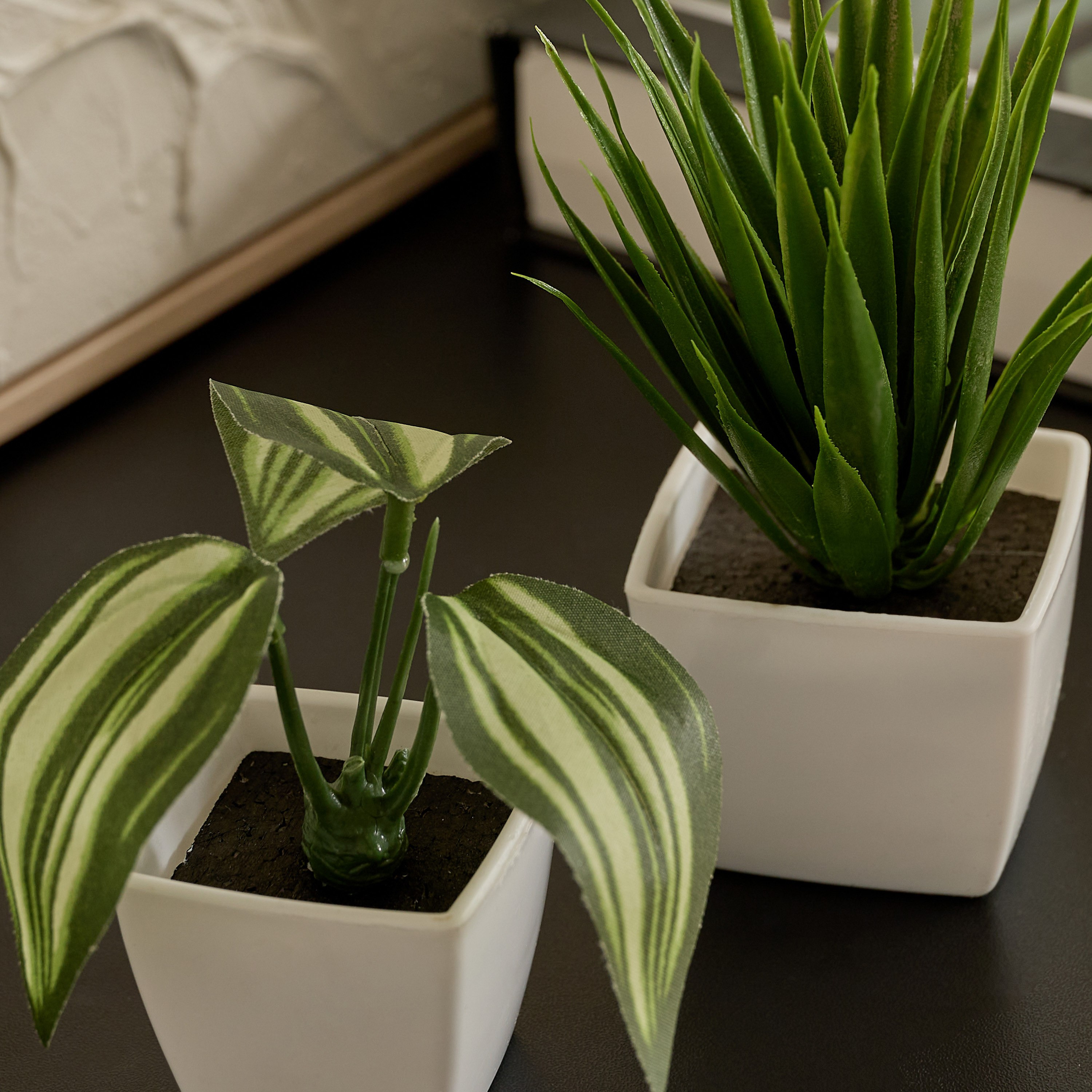 Evergreen Nordic Style Artificial Succulent - Set of 6-hbxdecorandfurnishings-homeaccessories-artificialflowersandplants-image-4