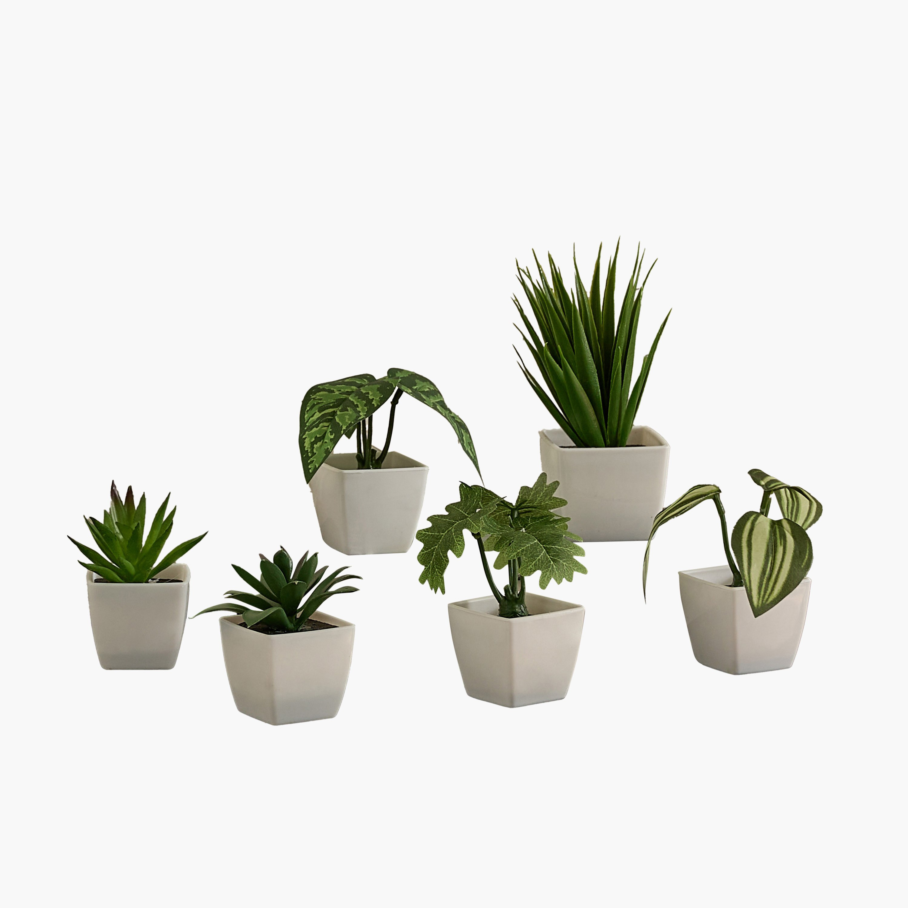 Evergreen Nordic Style Artificial Succulent - Set of 6-hbxdecorandfurnishings-homeaccessories-artificialflowersandplants-image-6