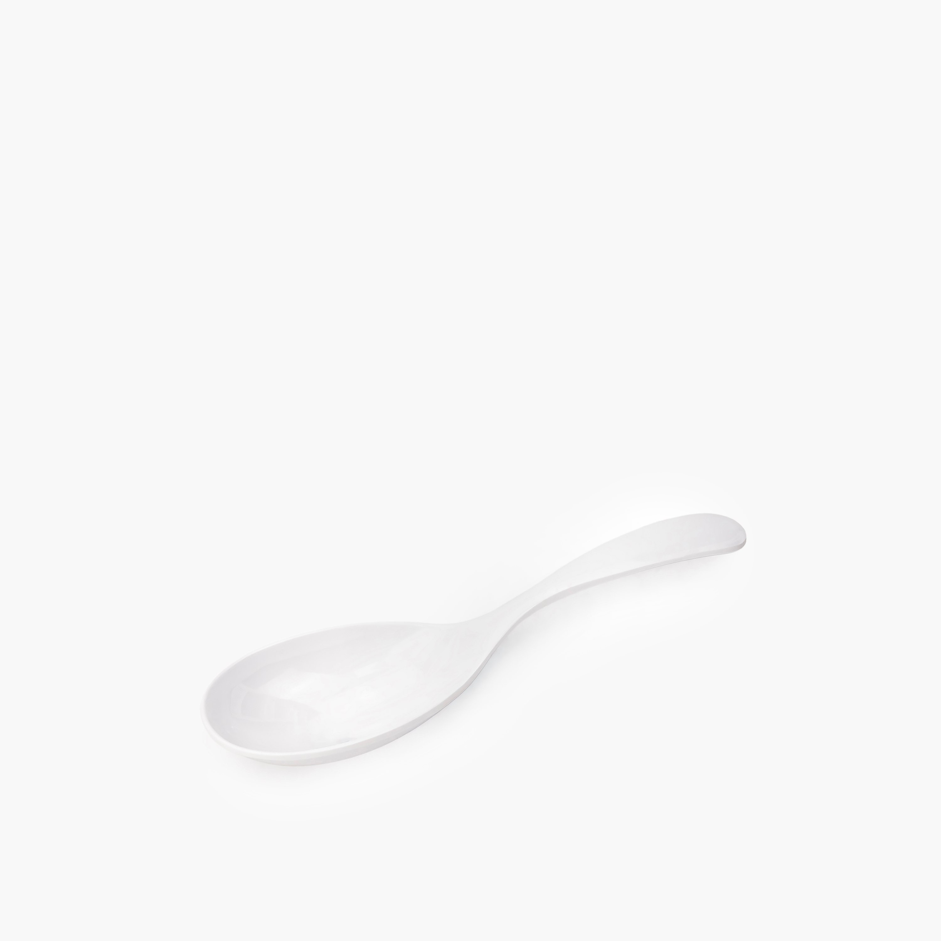 ملعقة تقديم من فيست-hbxhomeware-hbxkitchen-image-3