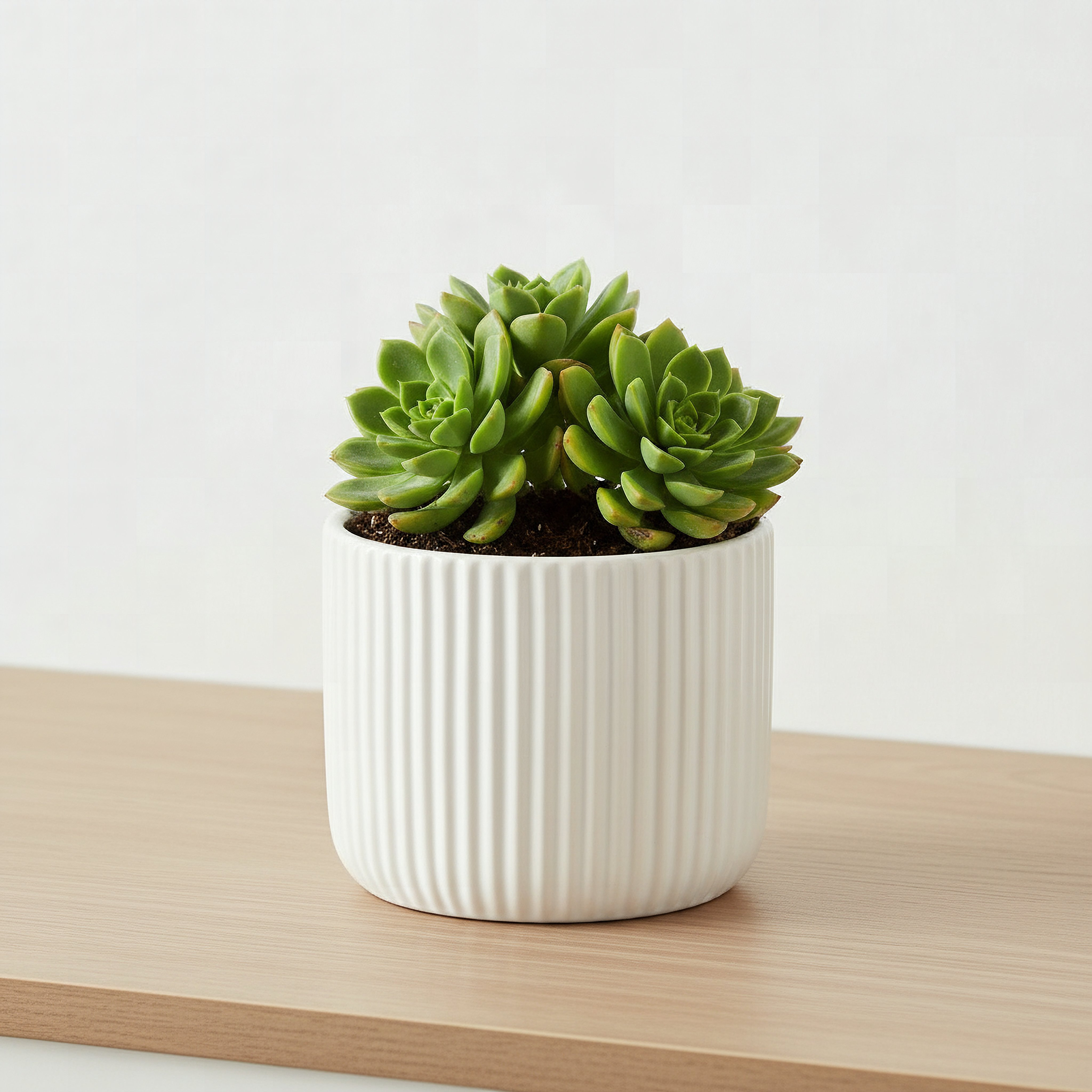 Sansa Siera Ribbed Ceramic Planter - 13x13x11 cm-hbxhomeware-hbxdecorandfurnishings-image-1