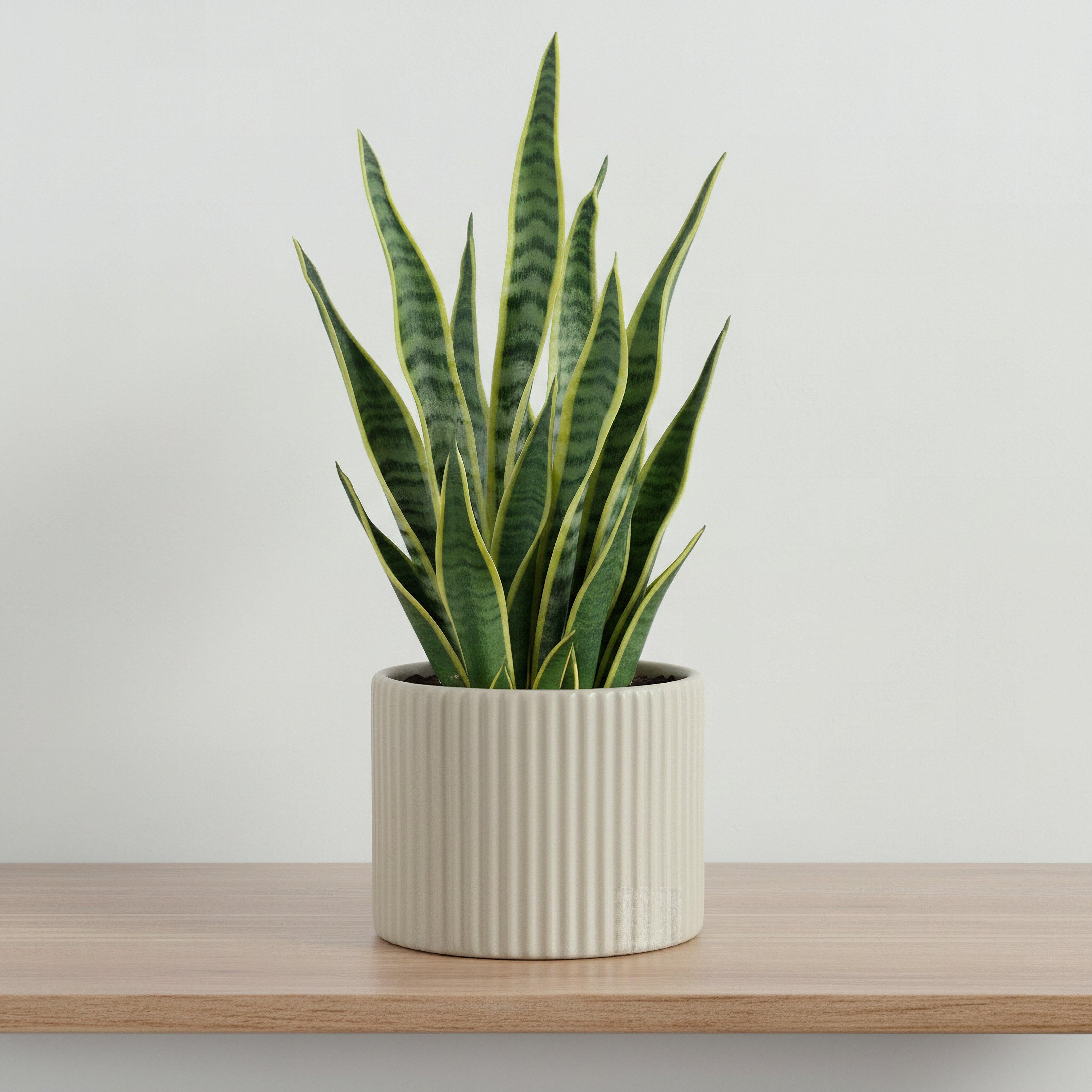 Sansa Siera Ribbed Ceramic Planter - 13x13x11 cm-hbxhomeware-hbxdecorandfurnishings-image-1