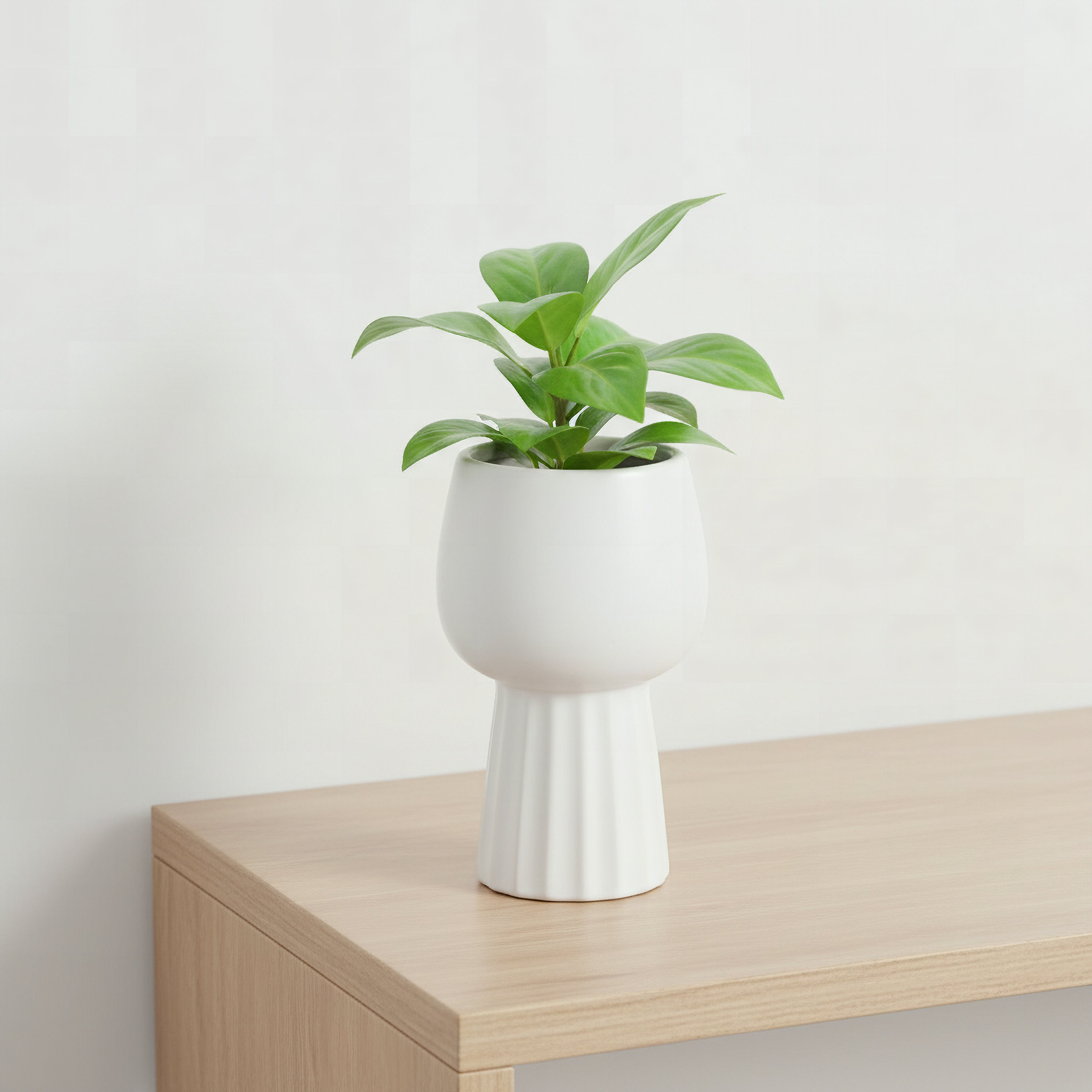 Sansa Siera Ceramic Planter - 10.5x10.5x18 cm-hbxhomeware-hbxdecorandfurnishings-image-1