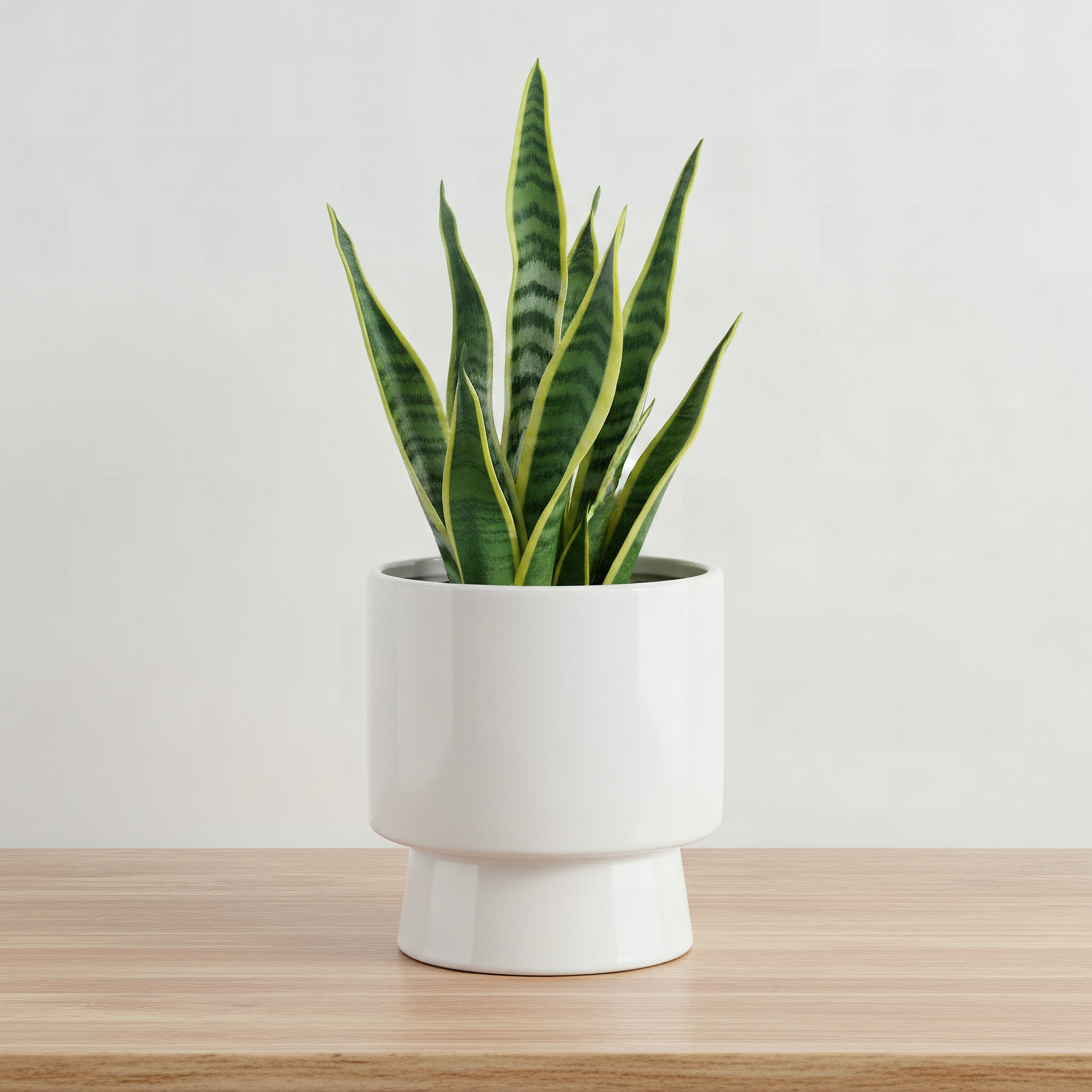 Sansa Siera Ceramic Planter - 14x14x15 cm-hbxhomeware-hbxdecorandfurnishings-image-1