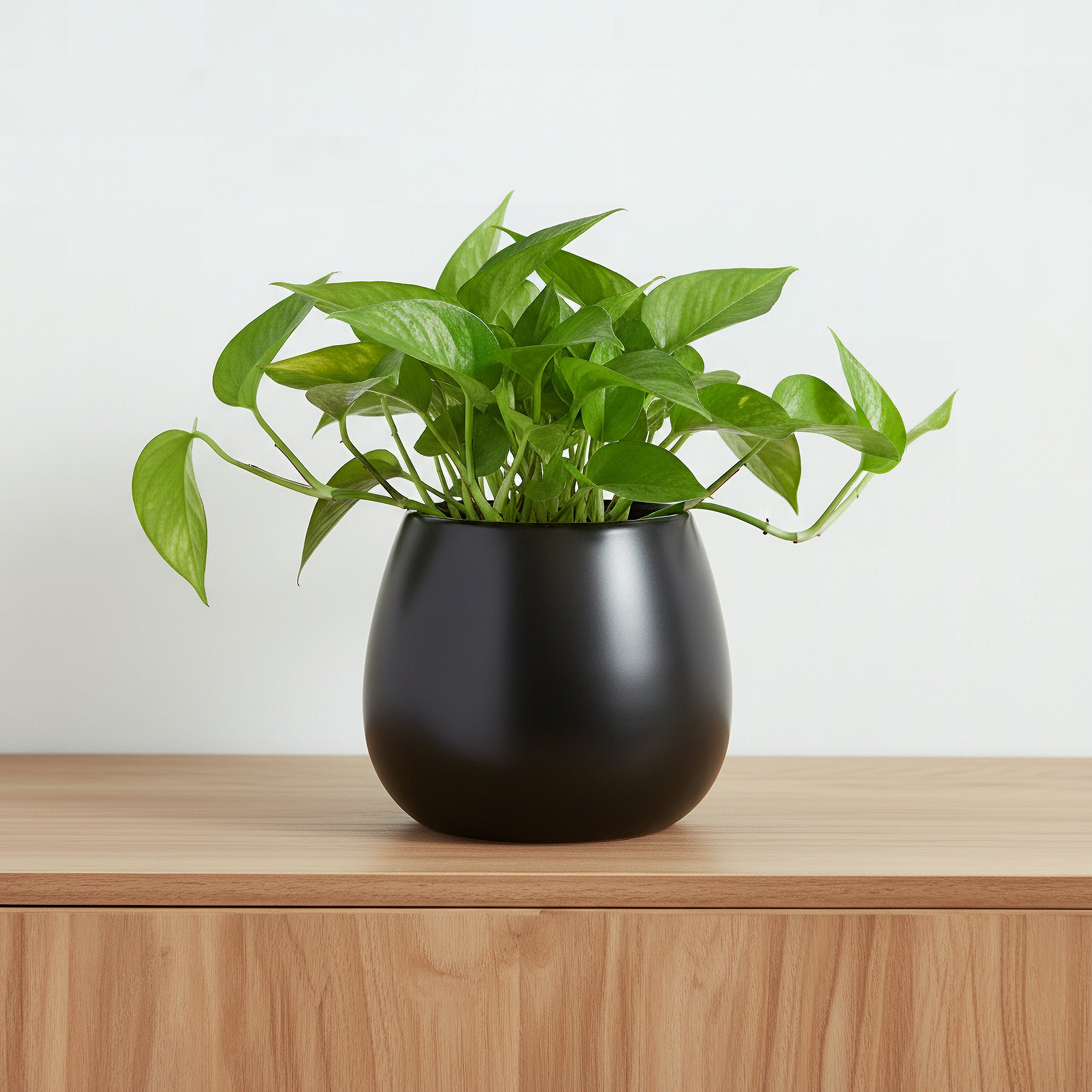 Sansa Siera Ceramic Planter - 16.5x16.5x14 cm-hbxhomeware-hbxdecorandfurnishings-image-1