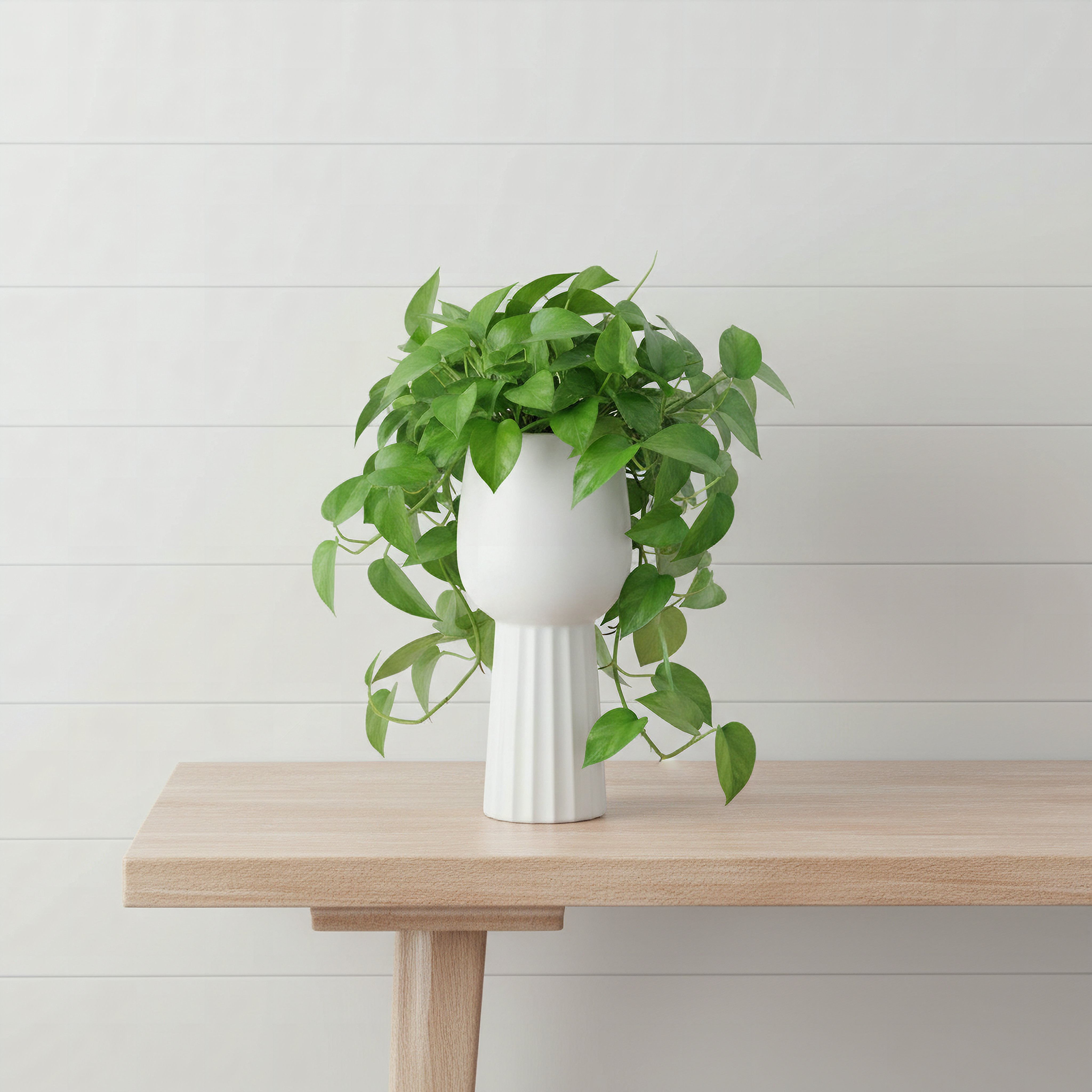 Sansa Siera Ceramic Planter - 12.5x12.5x29 cm-hbxhomeware-hbxdecorandfurnishings-image-1