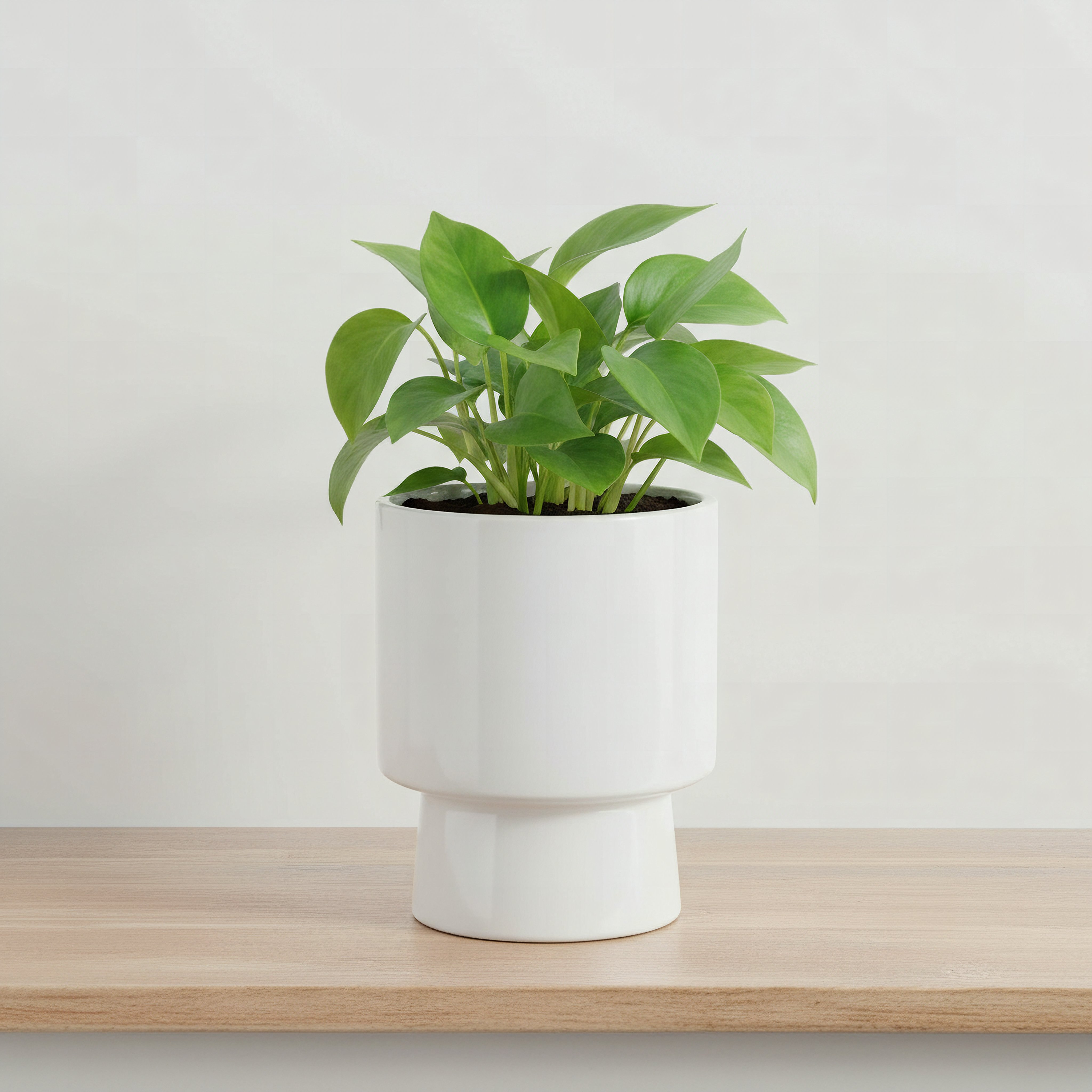 Sansa Siera Ceramic Planter - 15x15x19 cm-hbxhomeware-hbxdecorandfurnishings-image-1