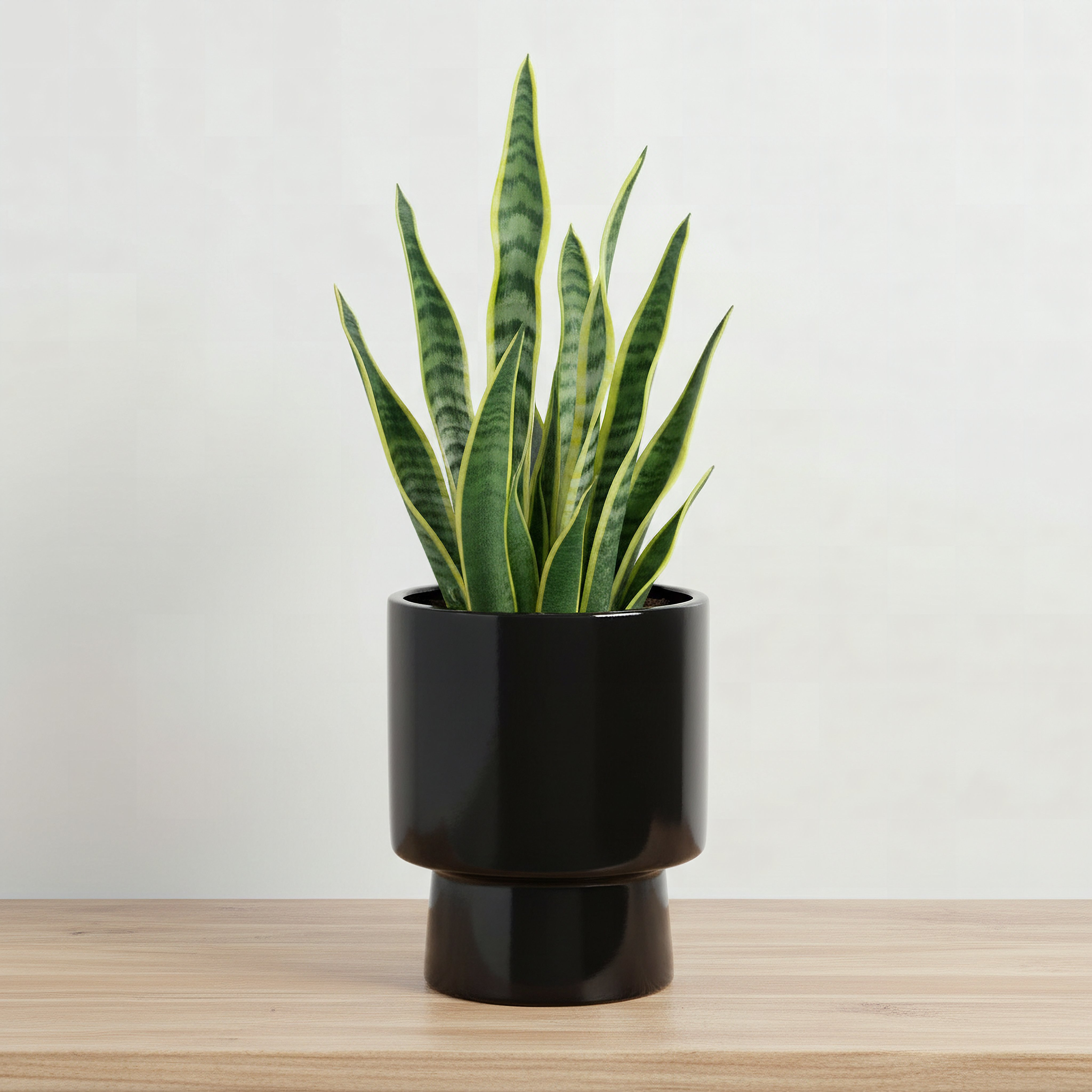 Sansa Siera Ceramic Planter - 15x15x19 cm-hbxhomeware-hbxdecorandfurnishings-image-1