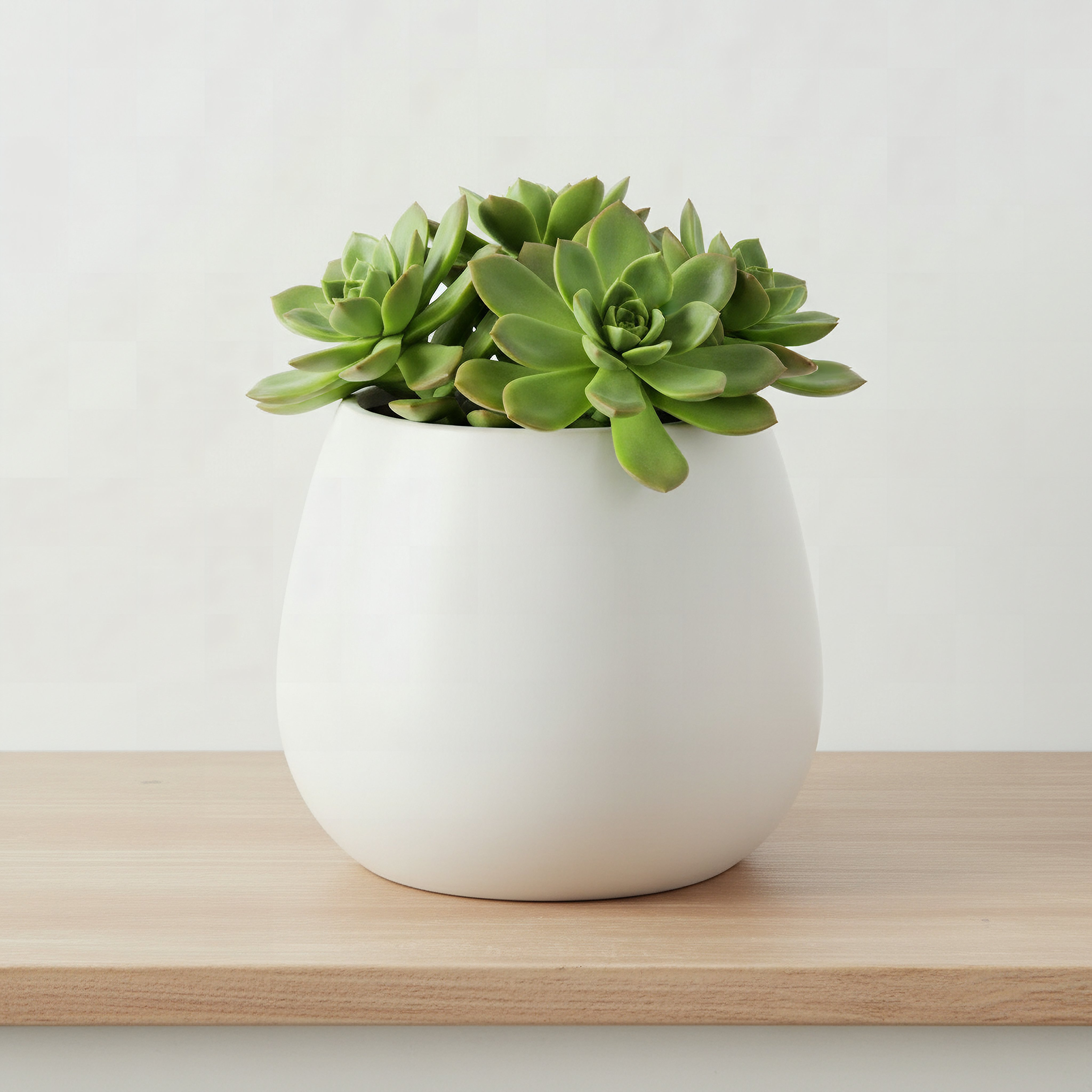 Sansa Siera Medium Ceramic Planter - 24x24x20 cm-hbxhomeware-hbxdecorandfurnishings-image-1