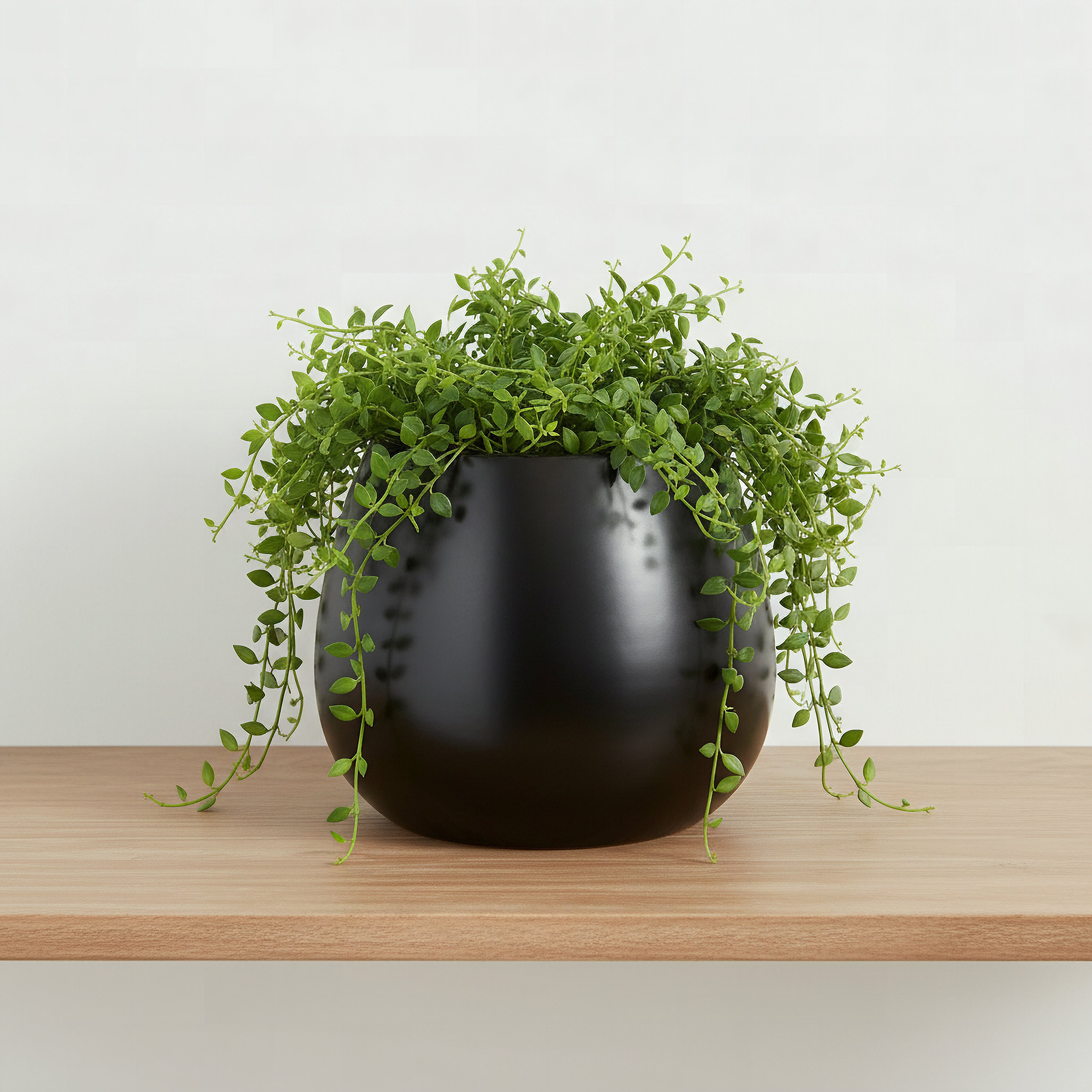 Sansa Siera Medium Ceramic Planter - 24x24x20 cm-hbxhomeware-hbxdecorandfurnishings-image-1
